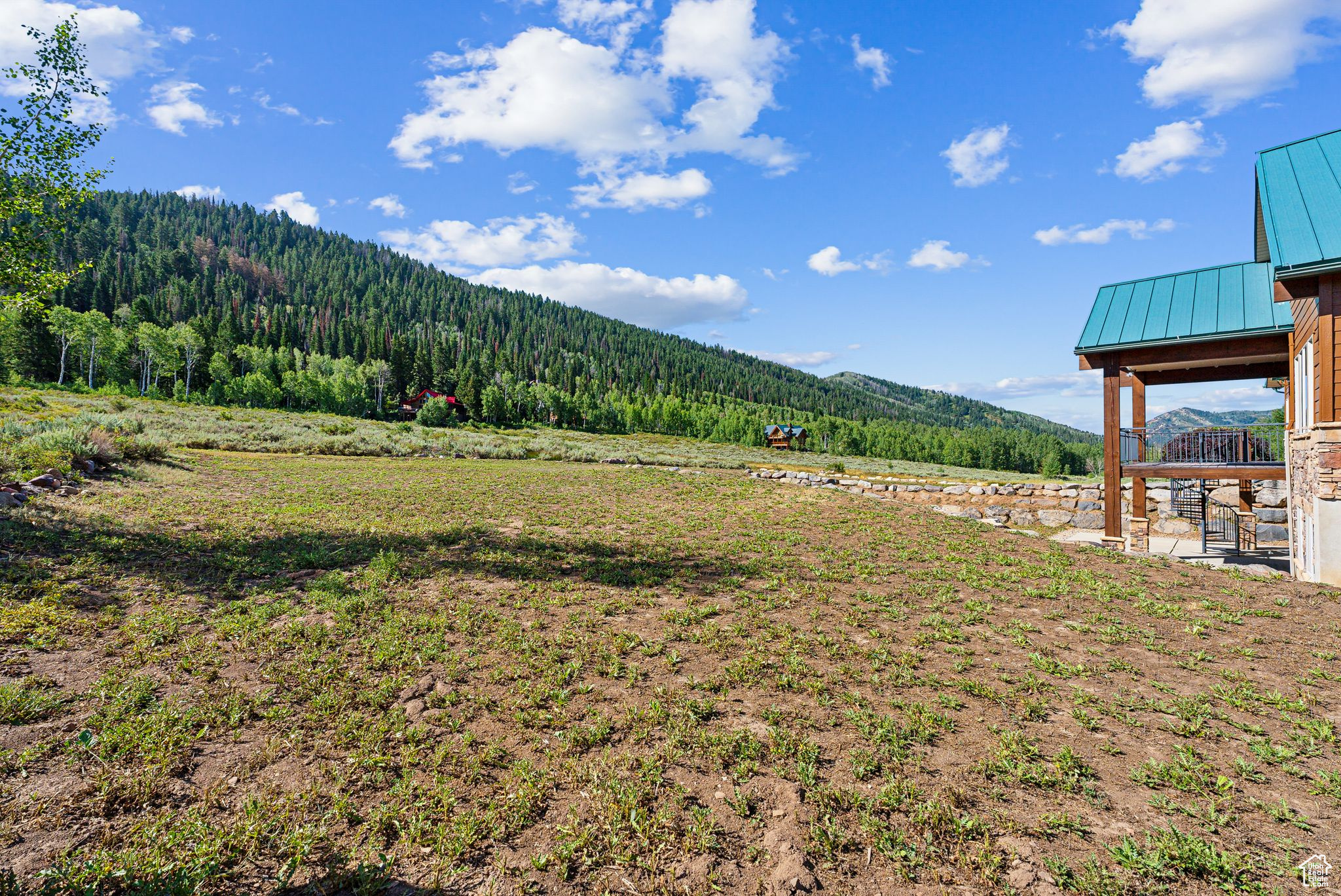 716 CONIFER DR