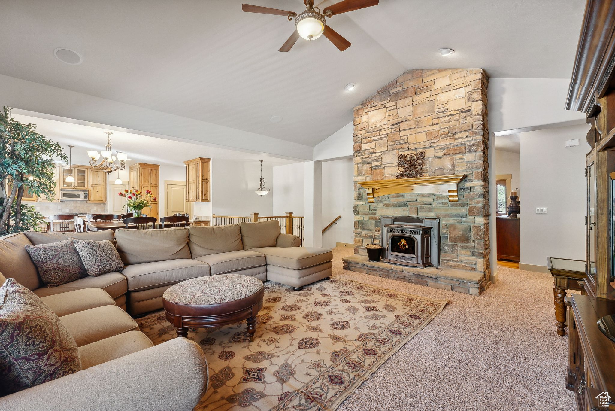 716 CONIFER DR