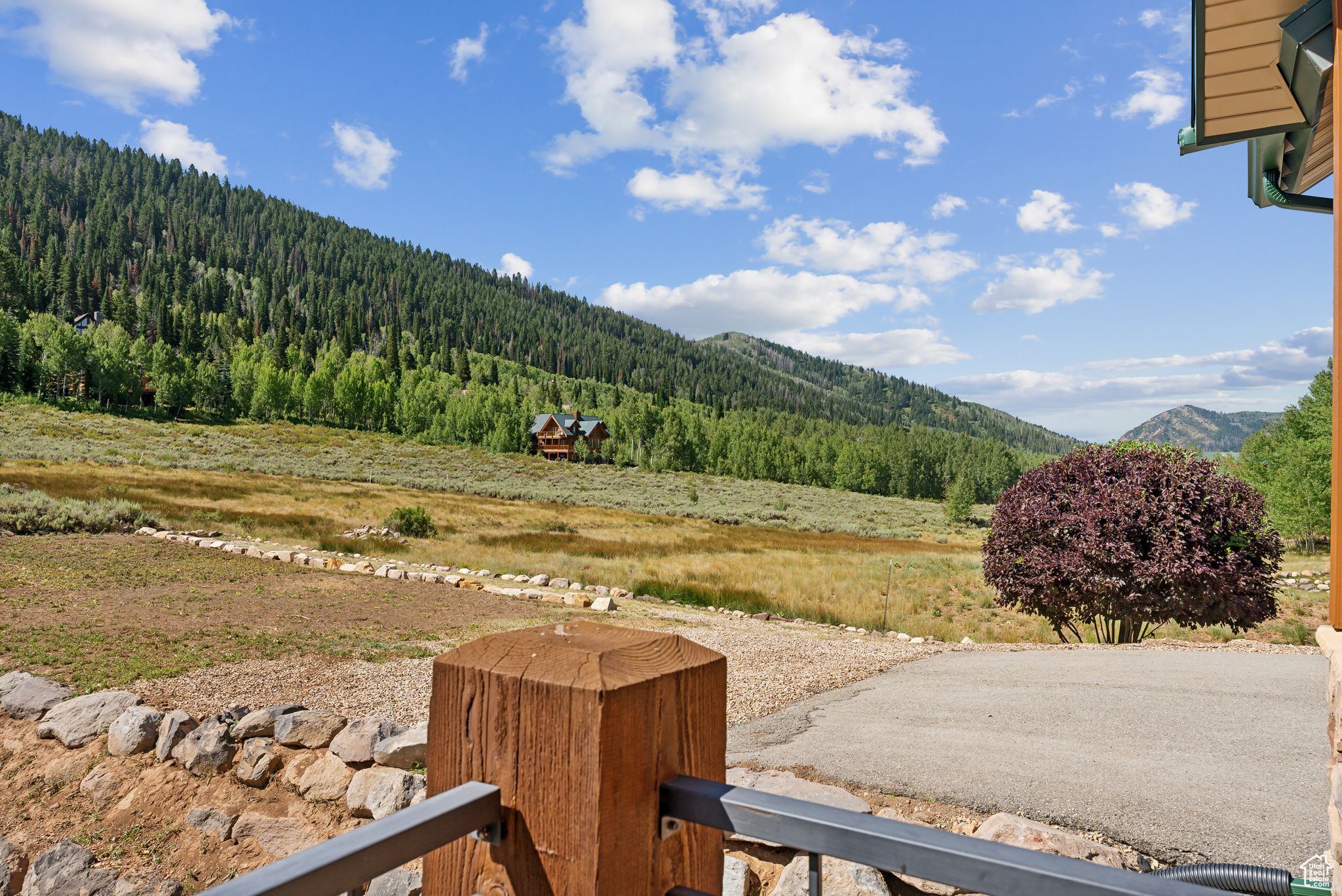 716 CONIFER DR