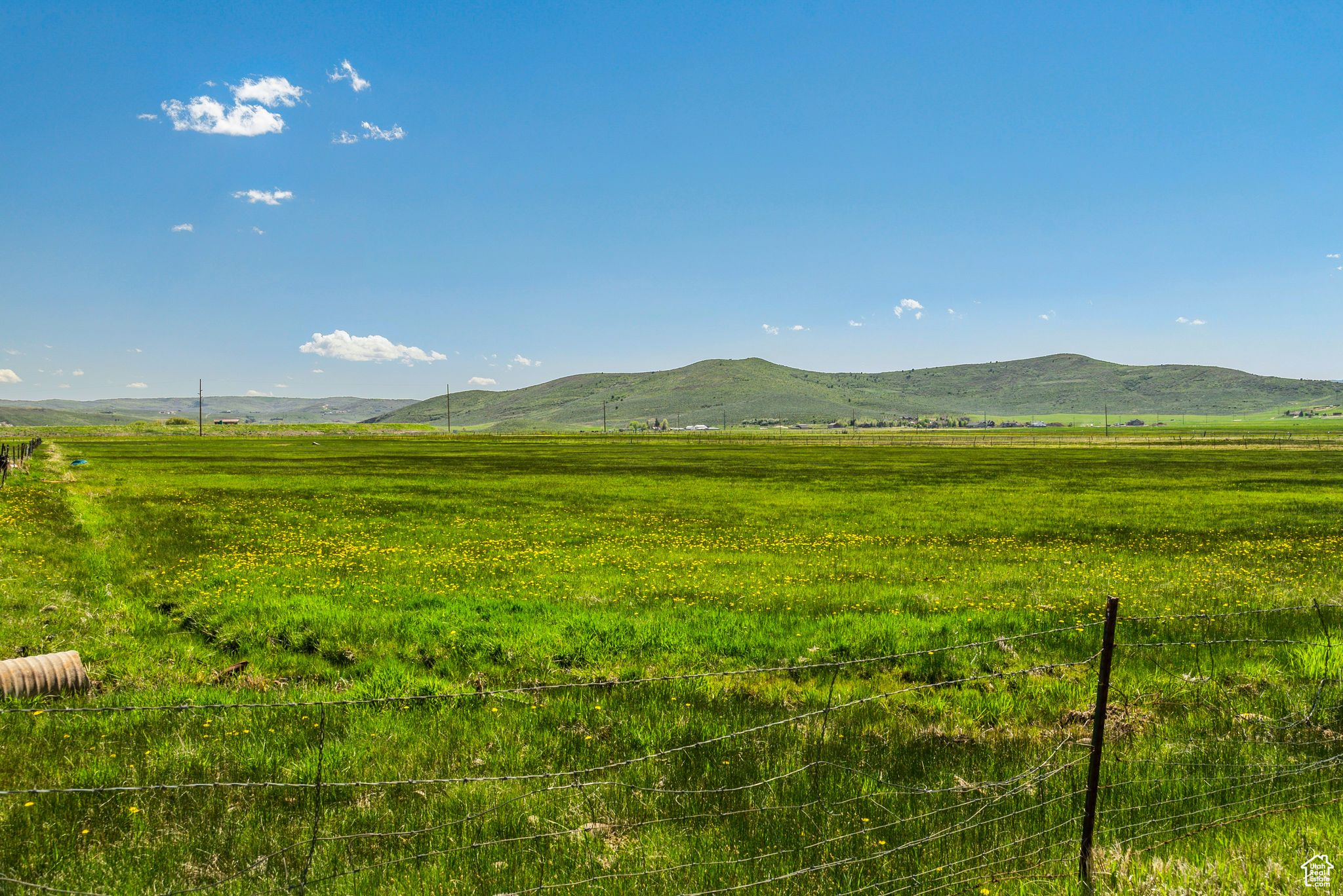 Kamas