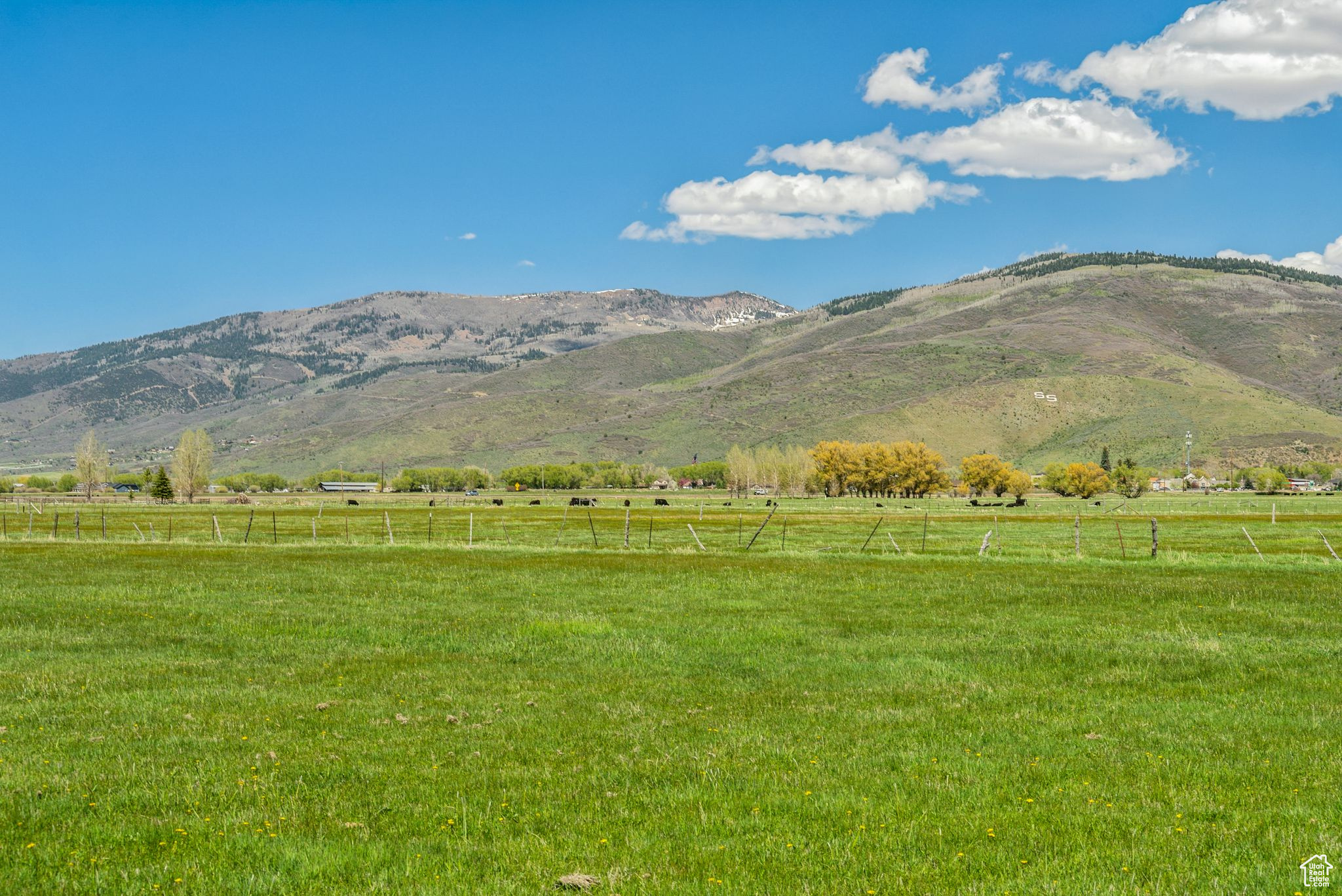 Kamas