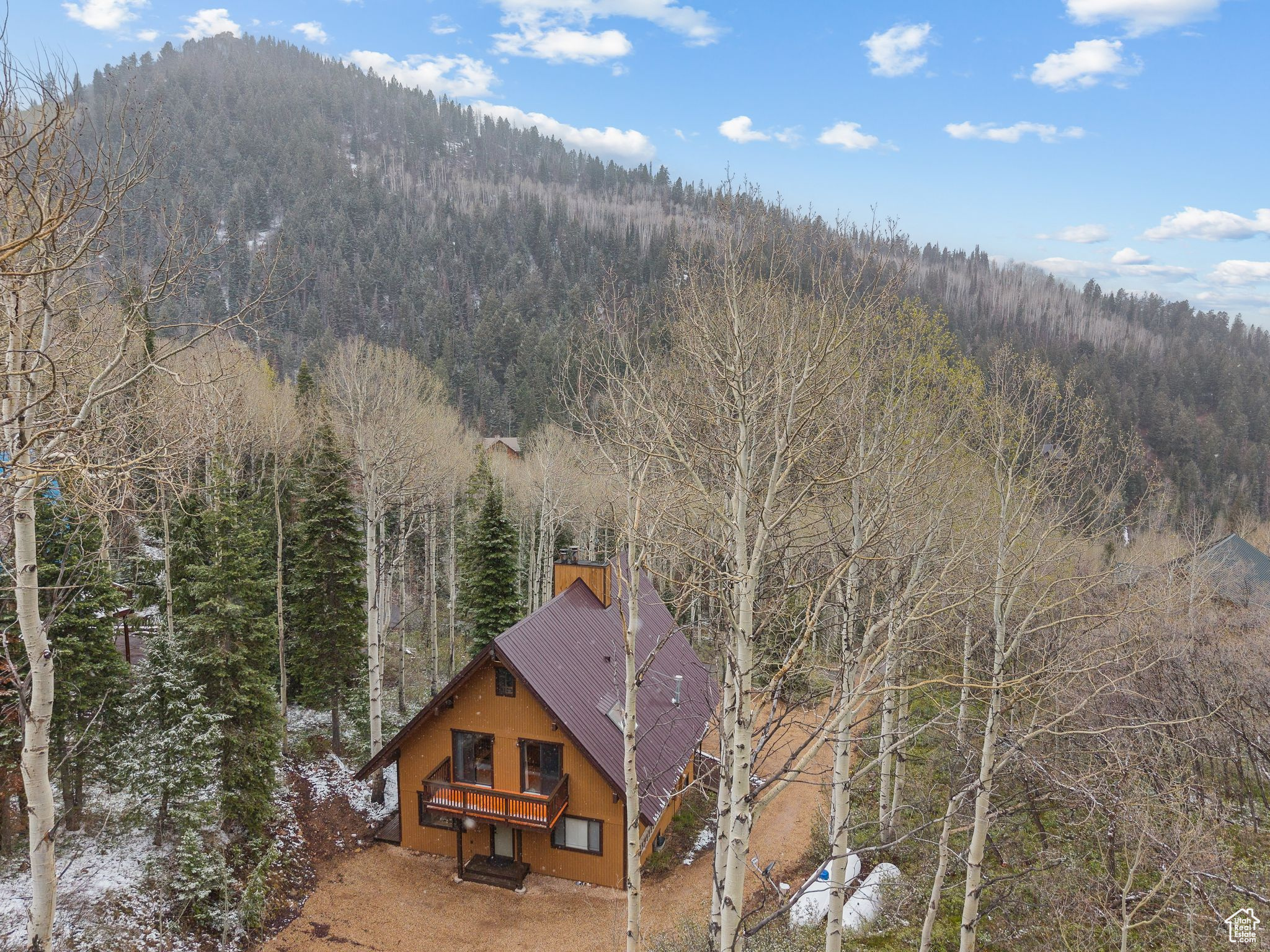 8912 BLUE SPRUCE DR
