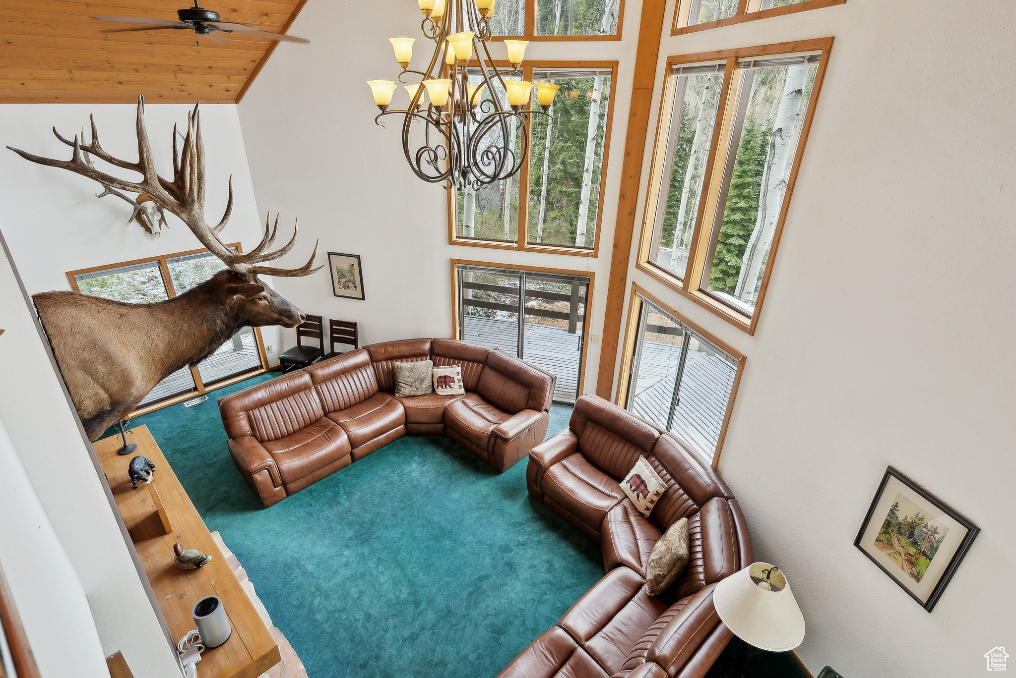 8912 BLUE SPRUCE DR