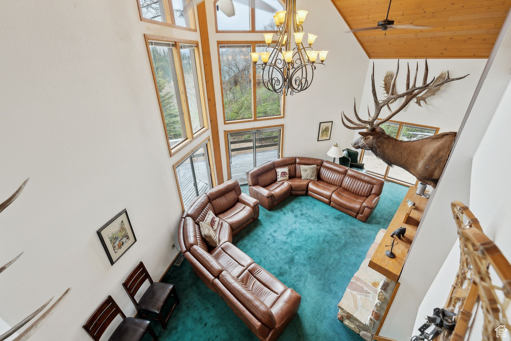 8912 BLUE SPRUCE DR