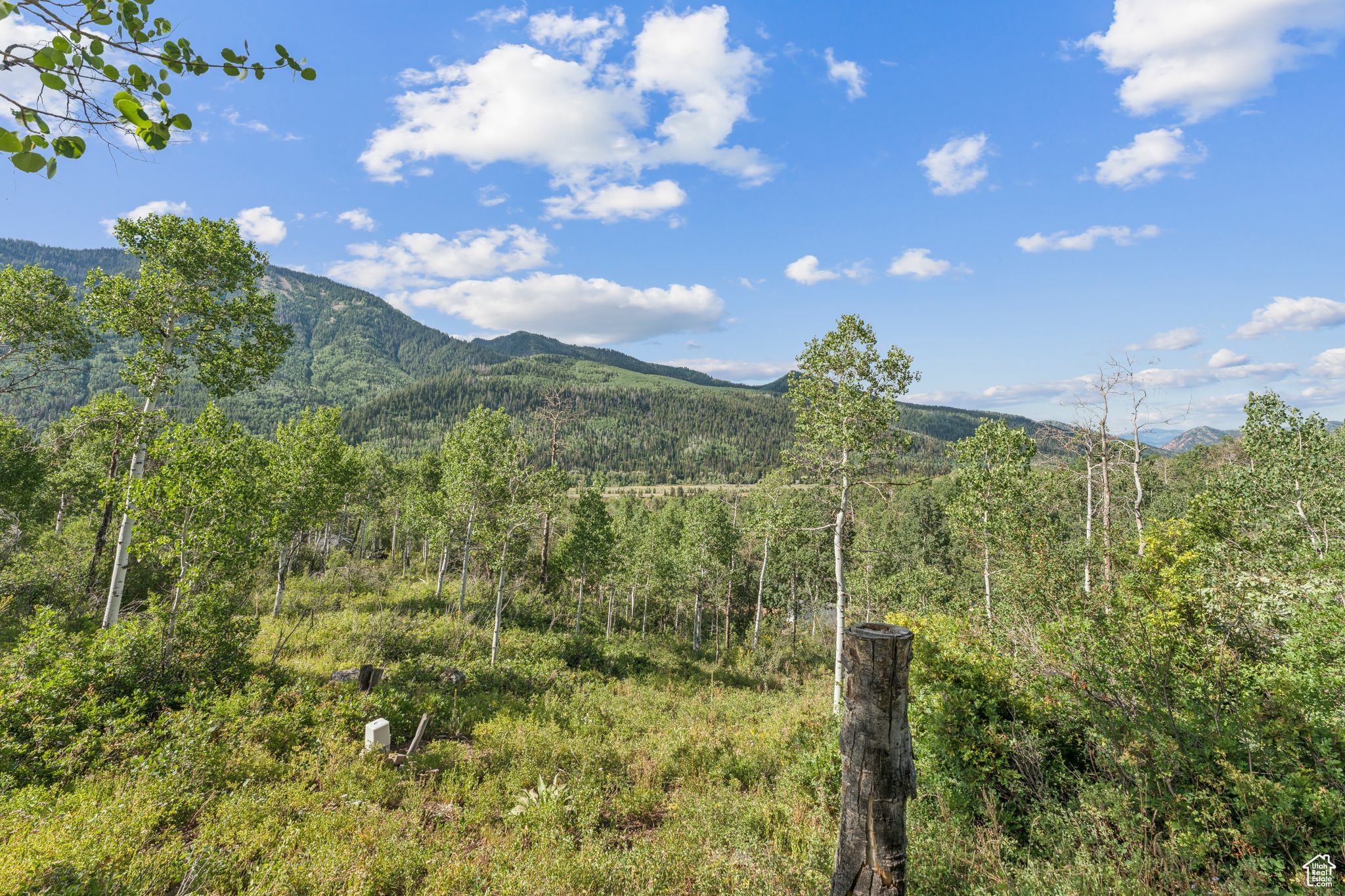 127 COMANCHE PASS #127