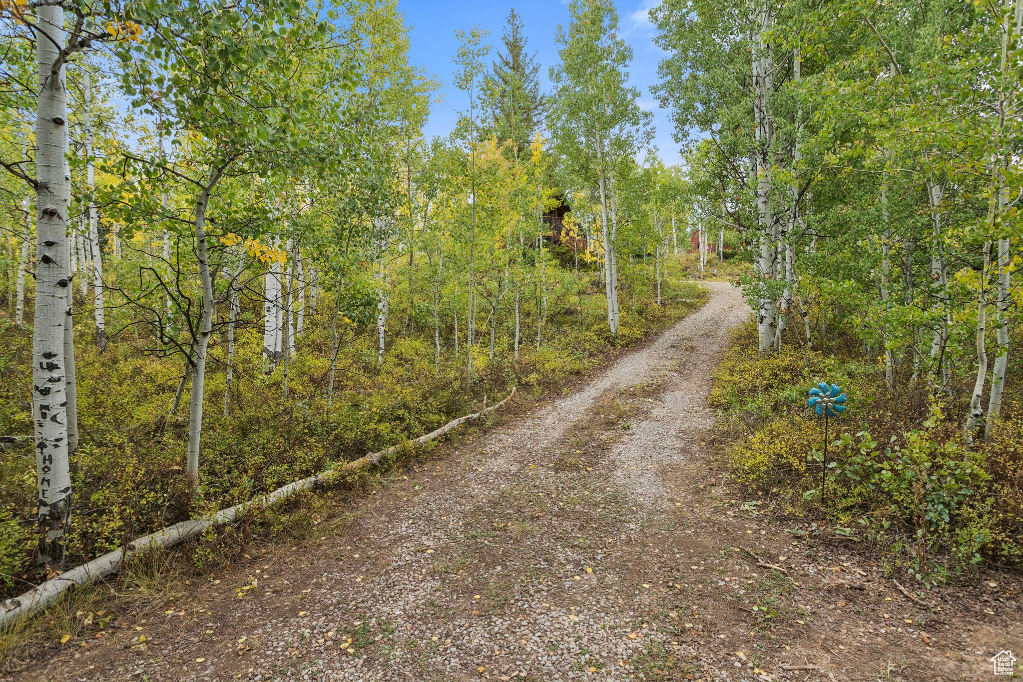 9 CARIBOU DR #9