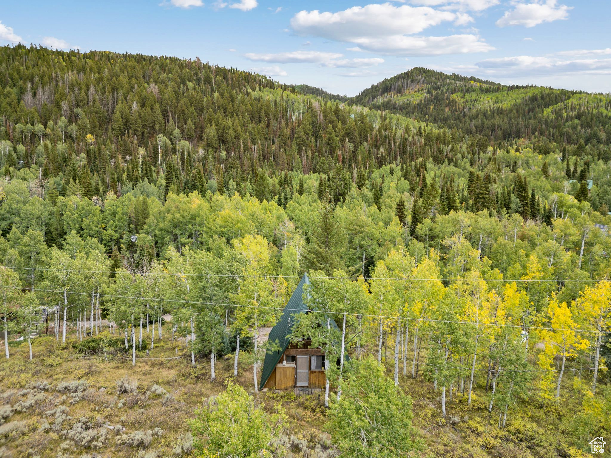 9 CARIBOU DR #9