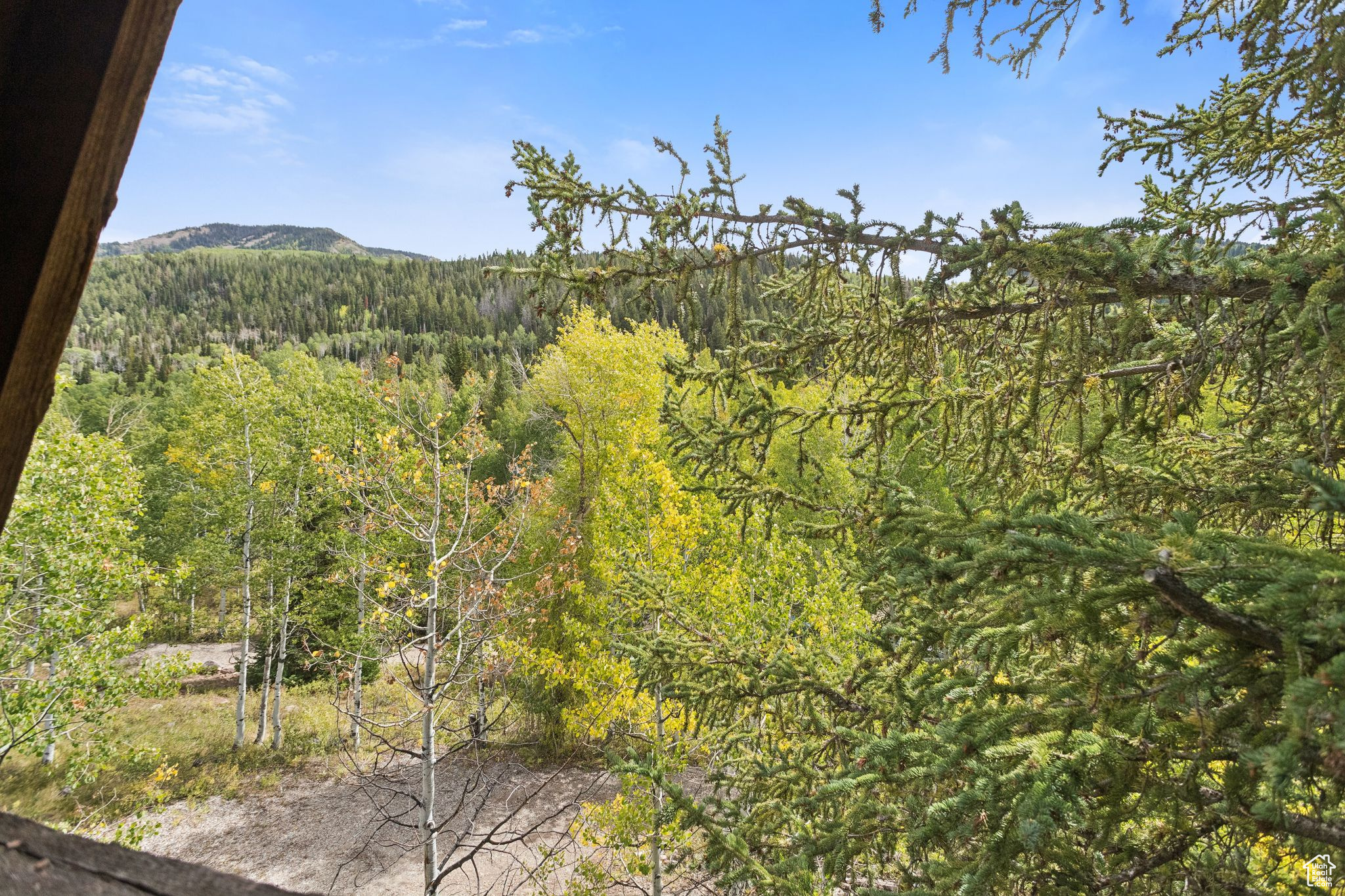 9 CARIBOU DR #9