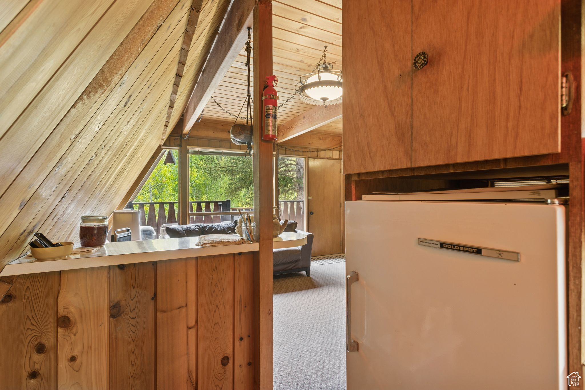 9 CARIBOU DR #9