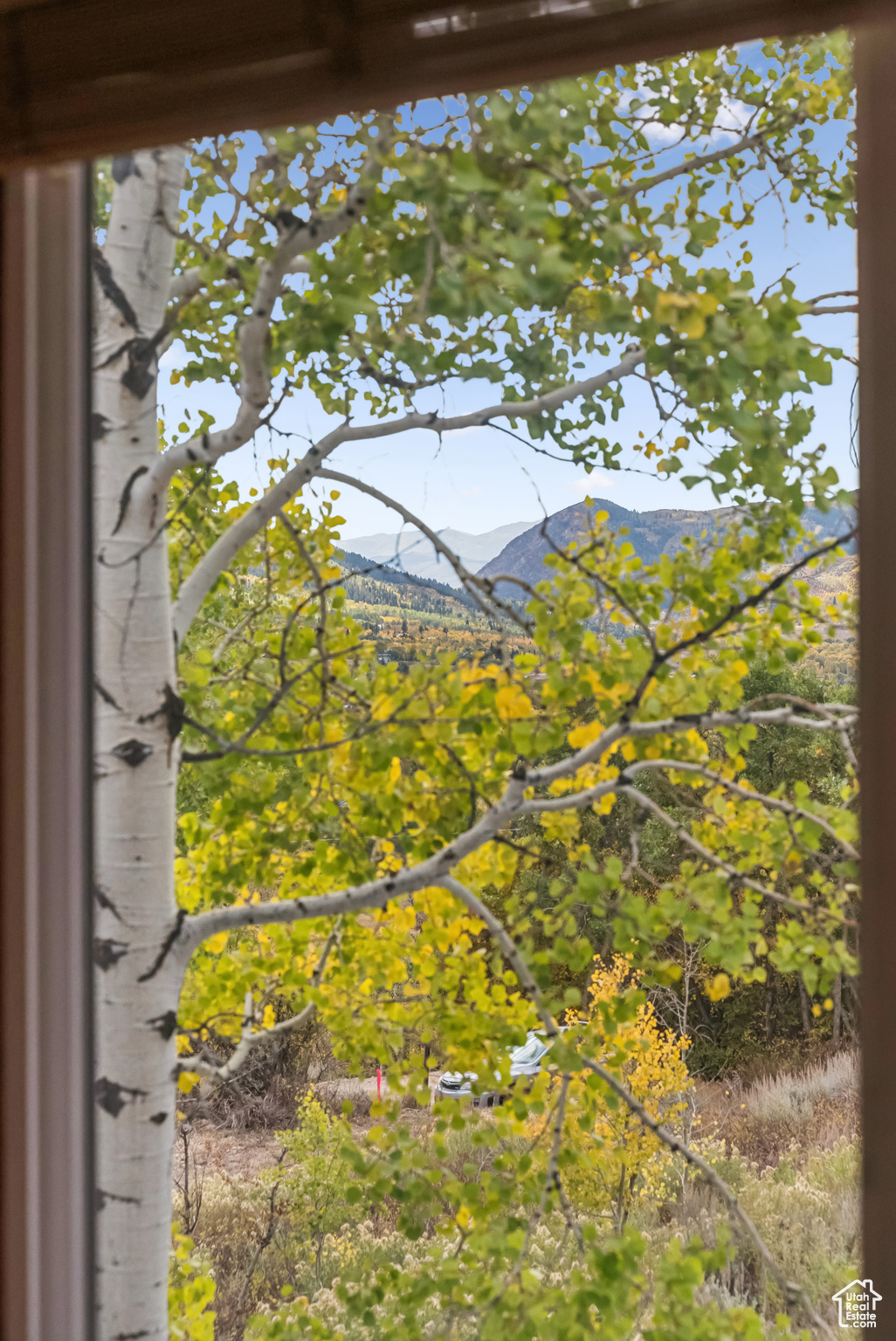 6025 HOBACK