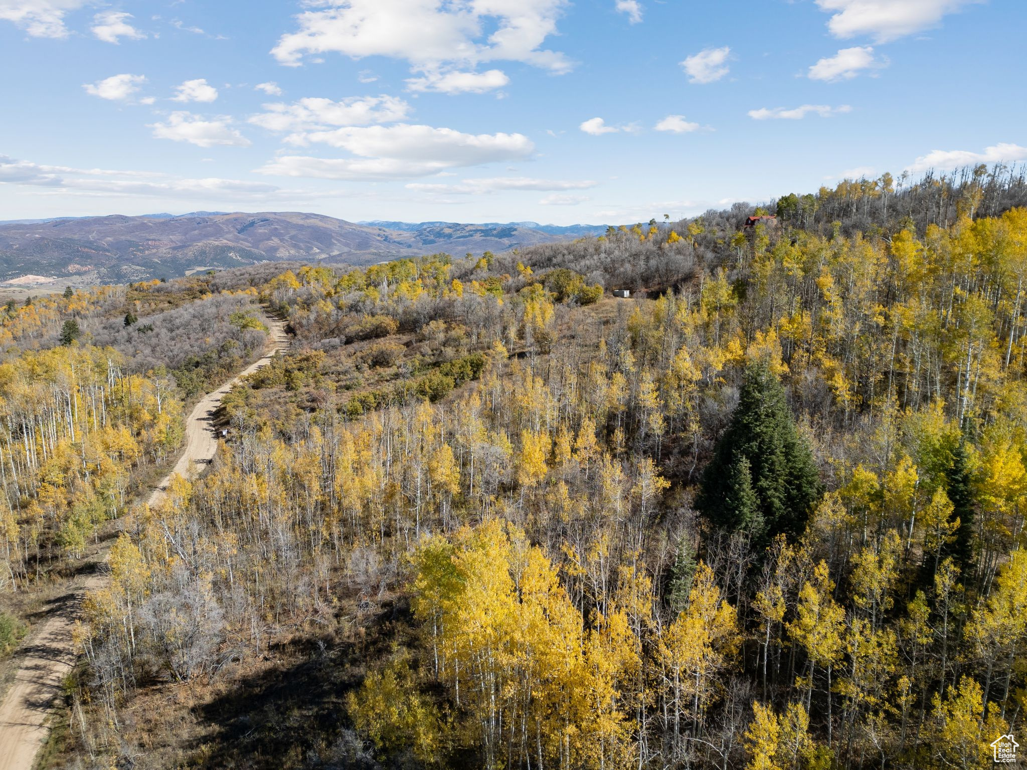 276 W BEAR TOOTH RDG Unit: 25