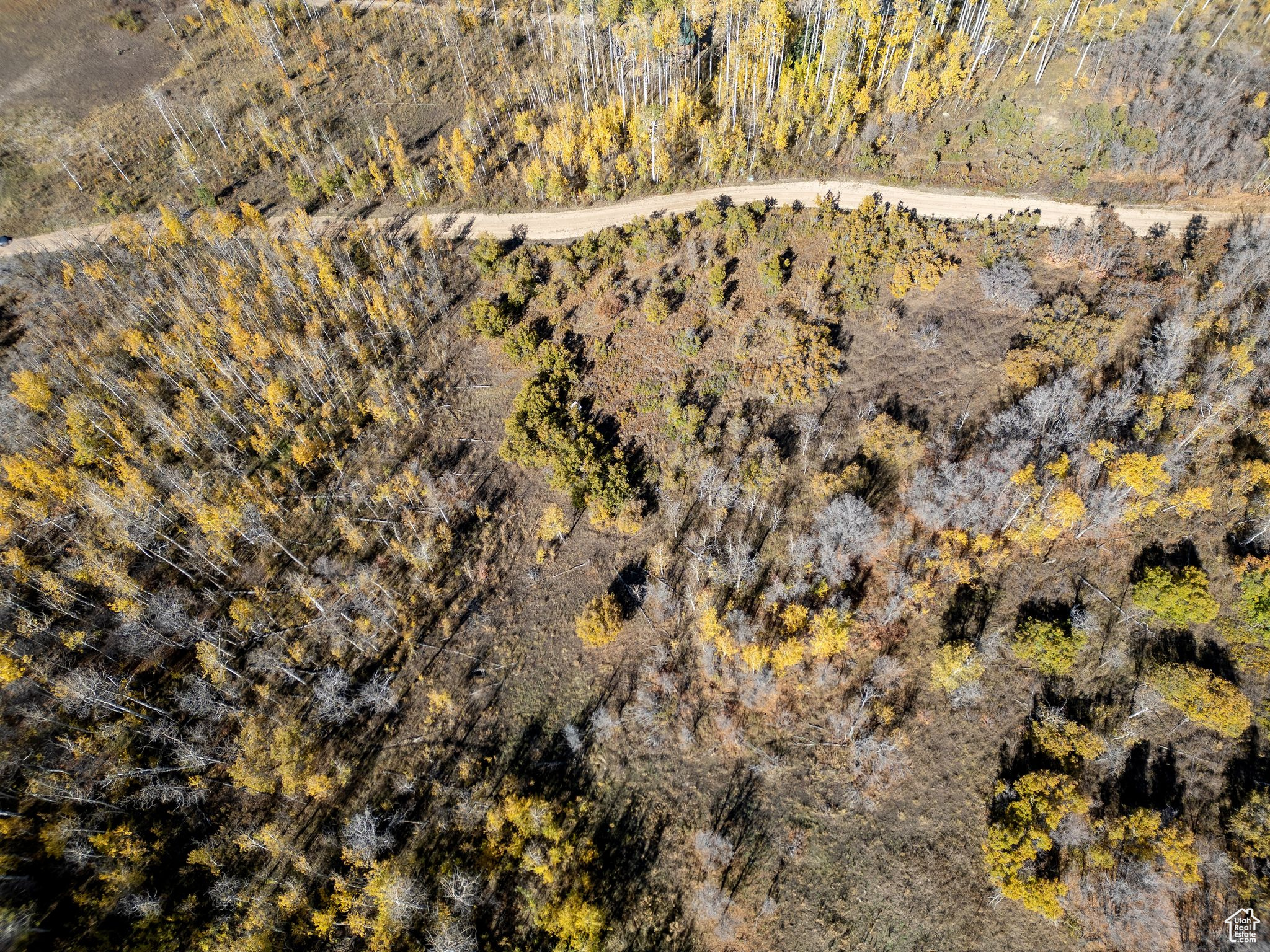 276 W BEAR TOOTH RDG Unit: 25