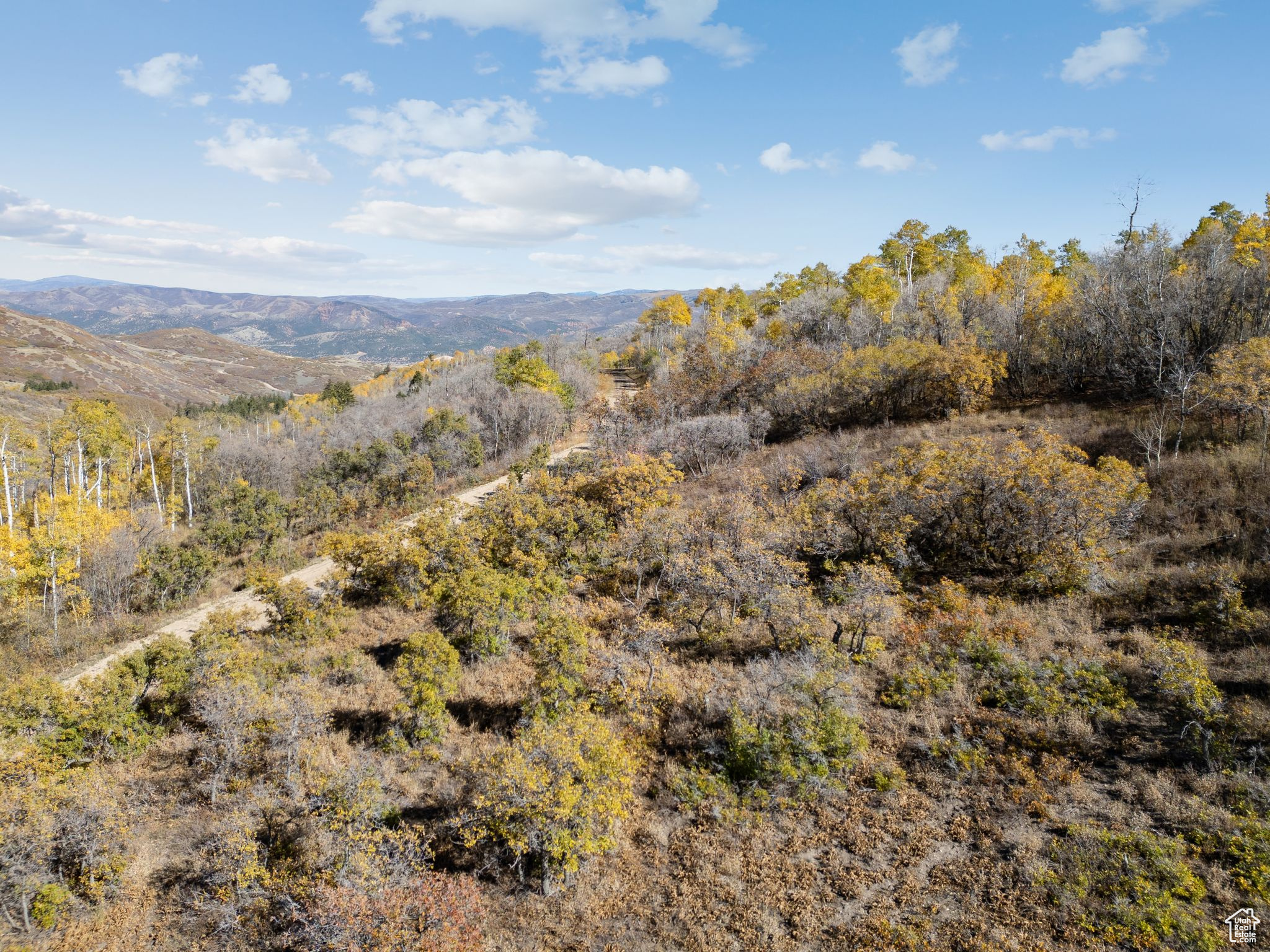 276 W BEAR TOOTH RDG Unit: 25