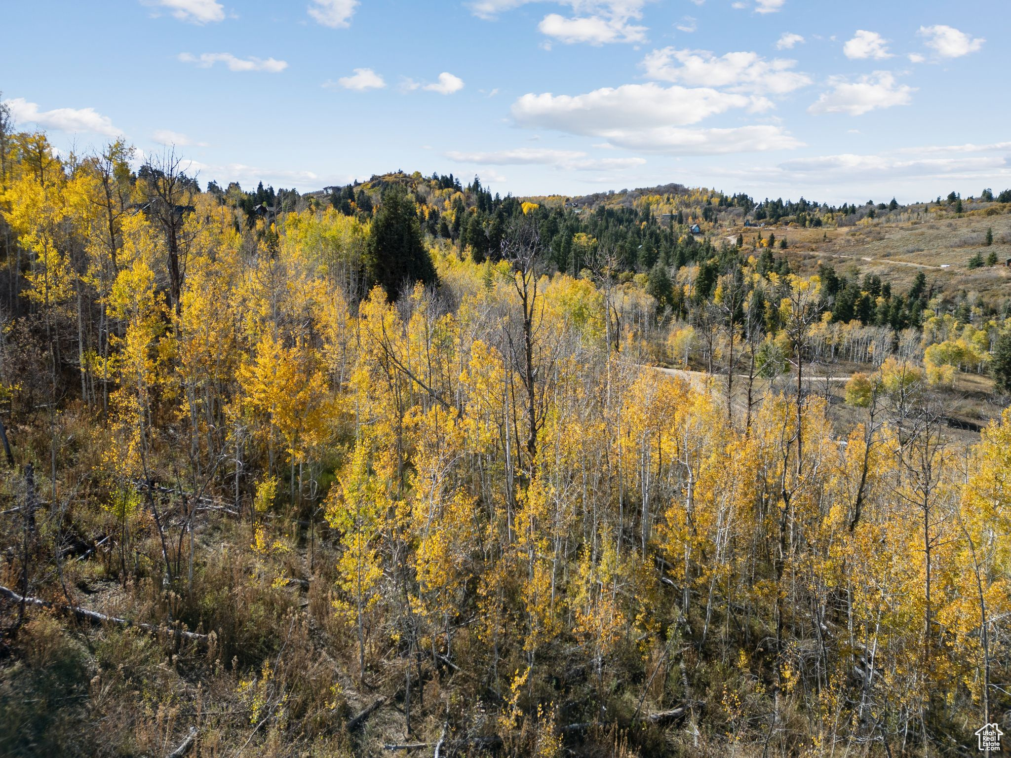276 W BEAR TOOTH RDG Unit: 25