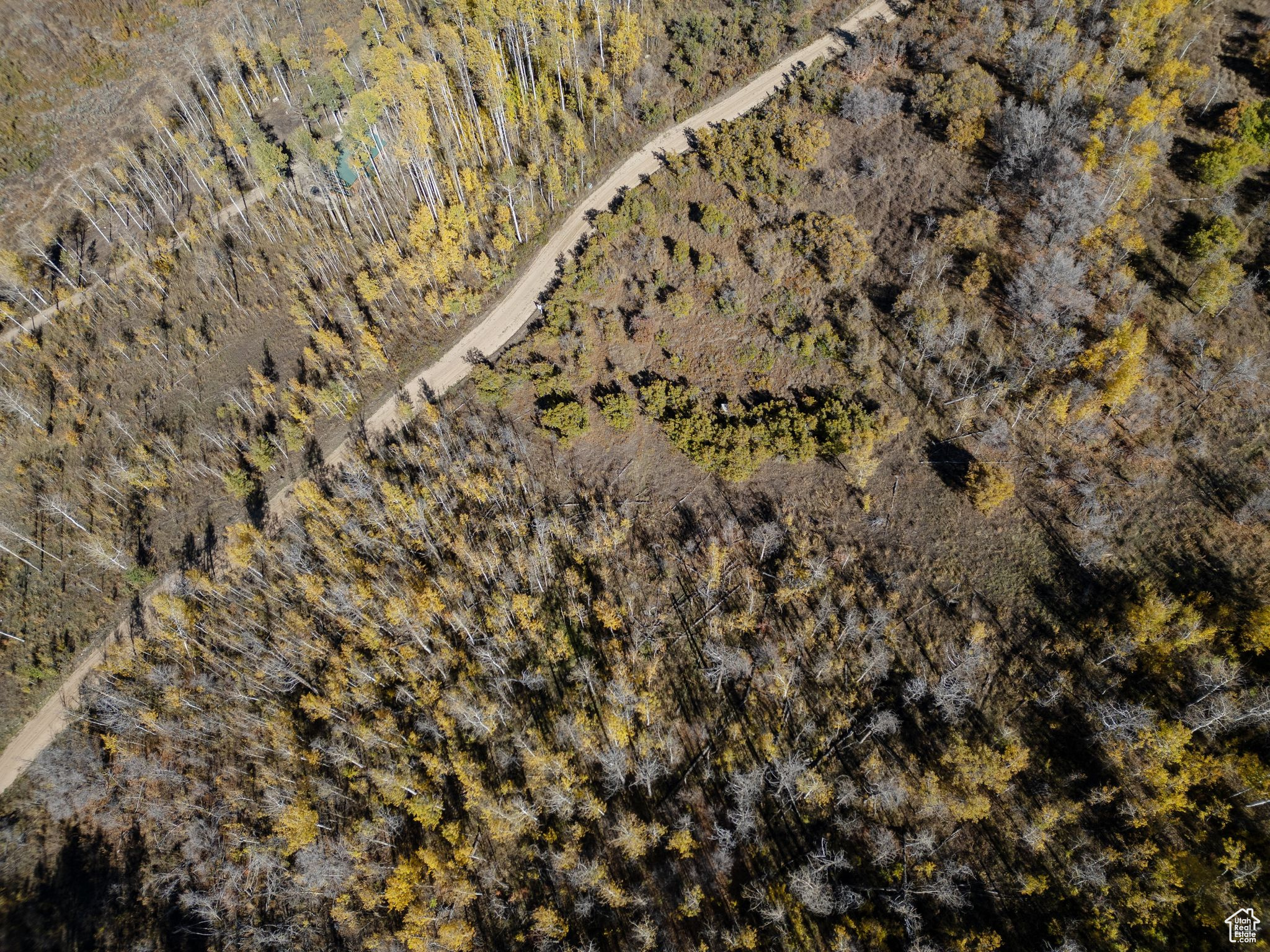 276 W BEAR TOOTH RDG Unit: 25