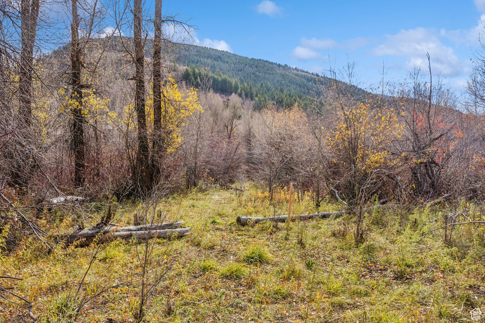 2638 E WEBER CANYON RD