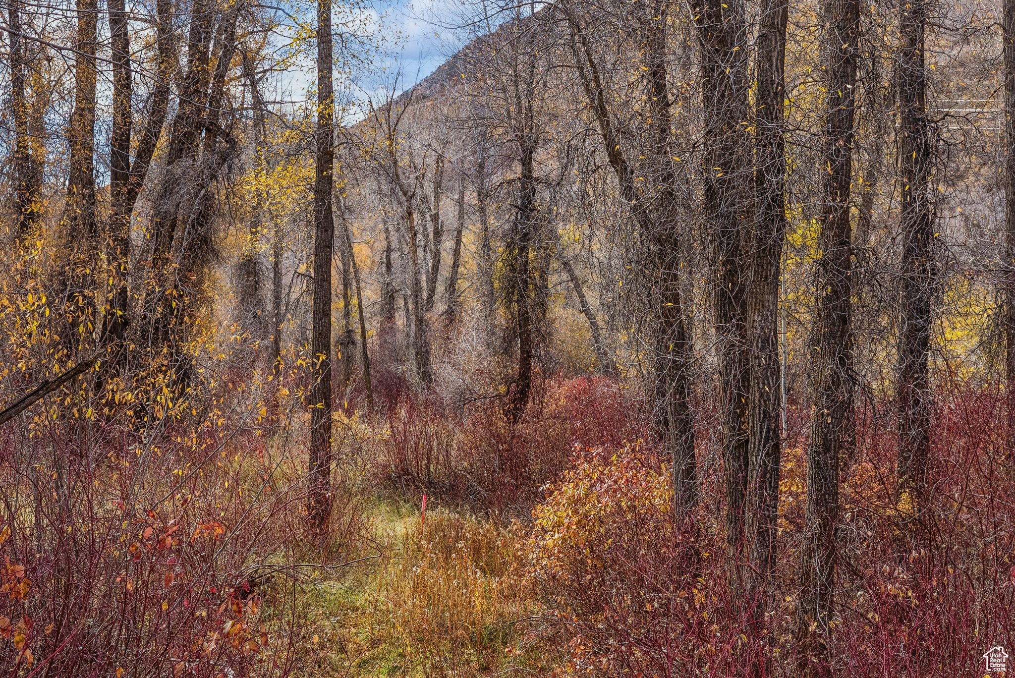 2638 E WEBER CANYON RD