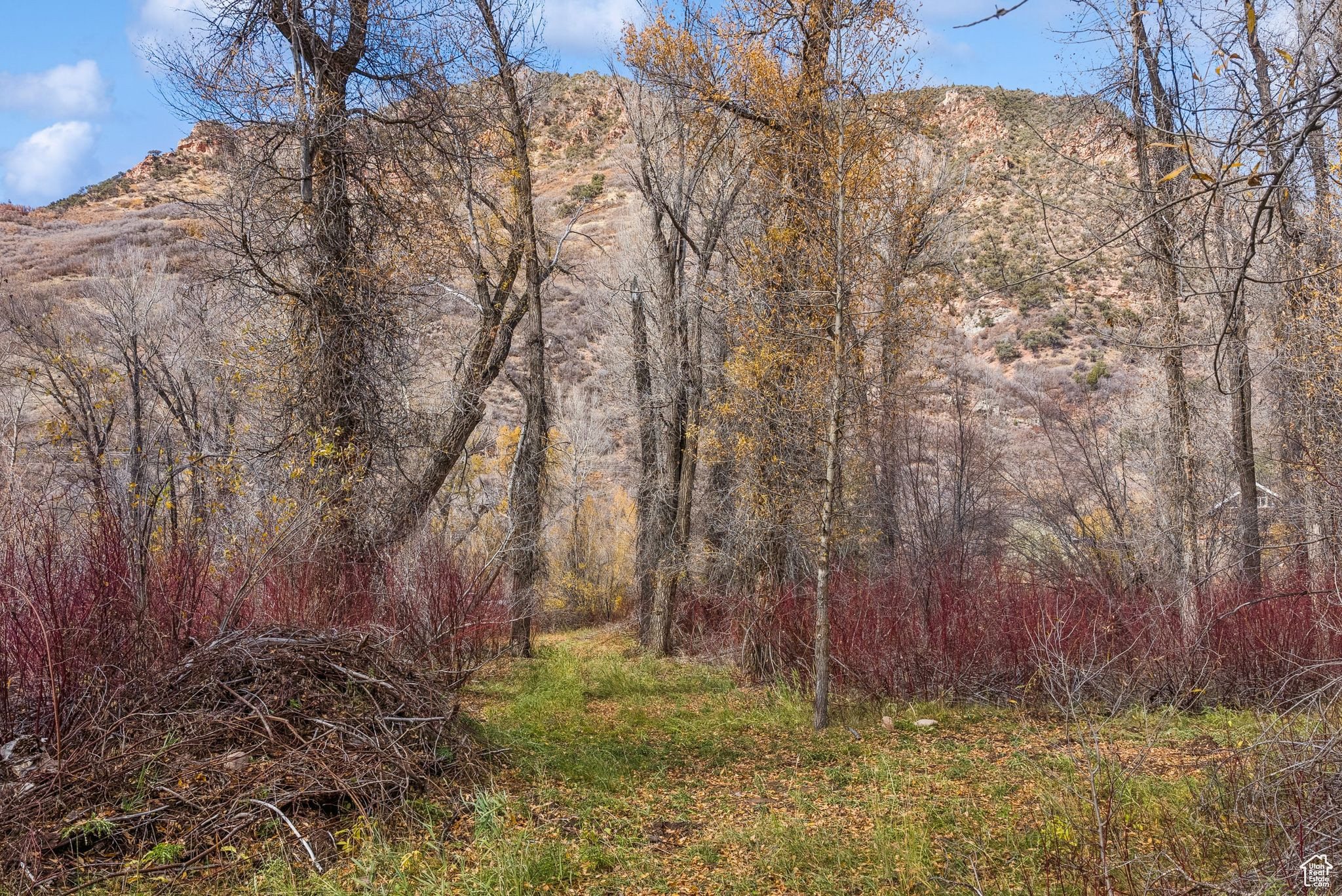 2638 E WEBER CANYON RD