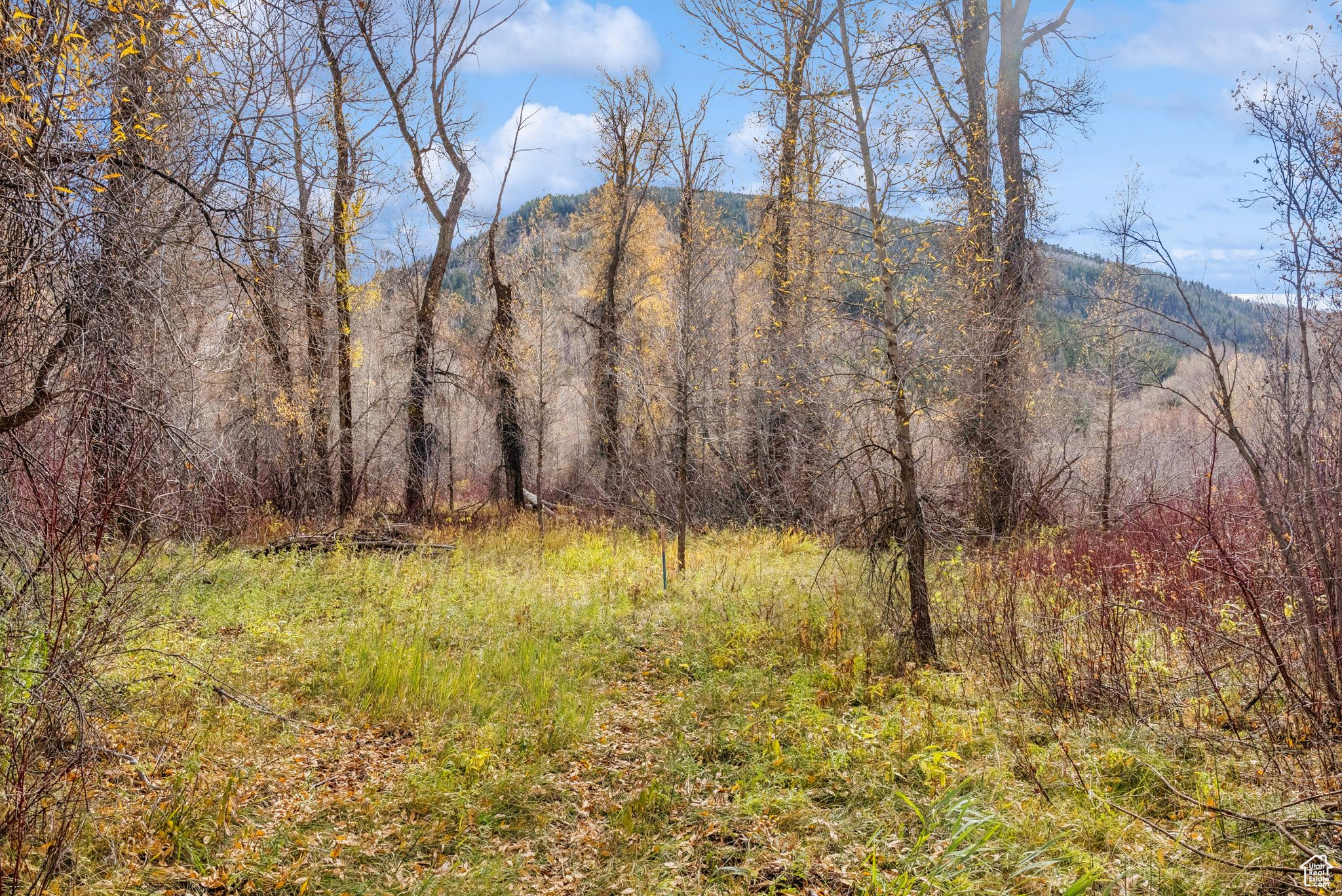 2638 E WEBER CANYON RD