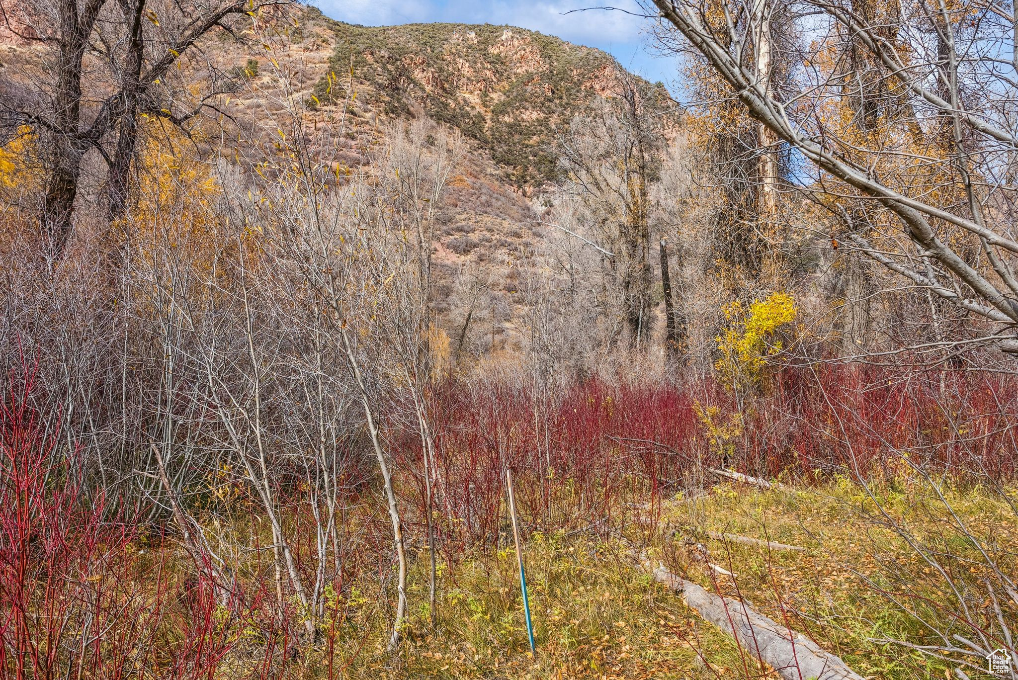 2638 E WEBER CANYON RD