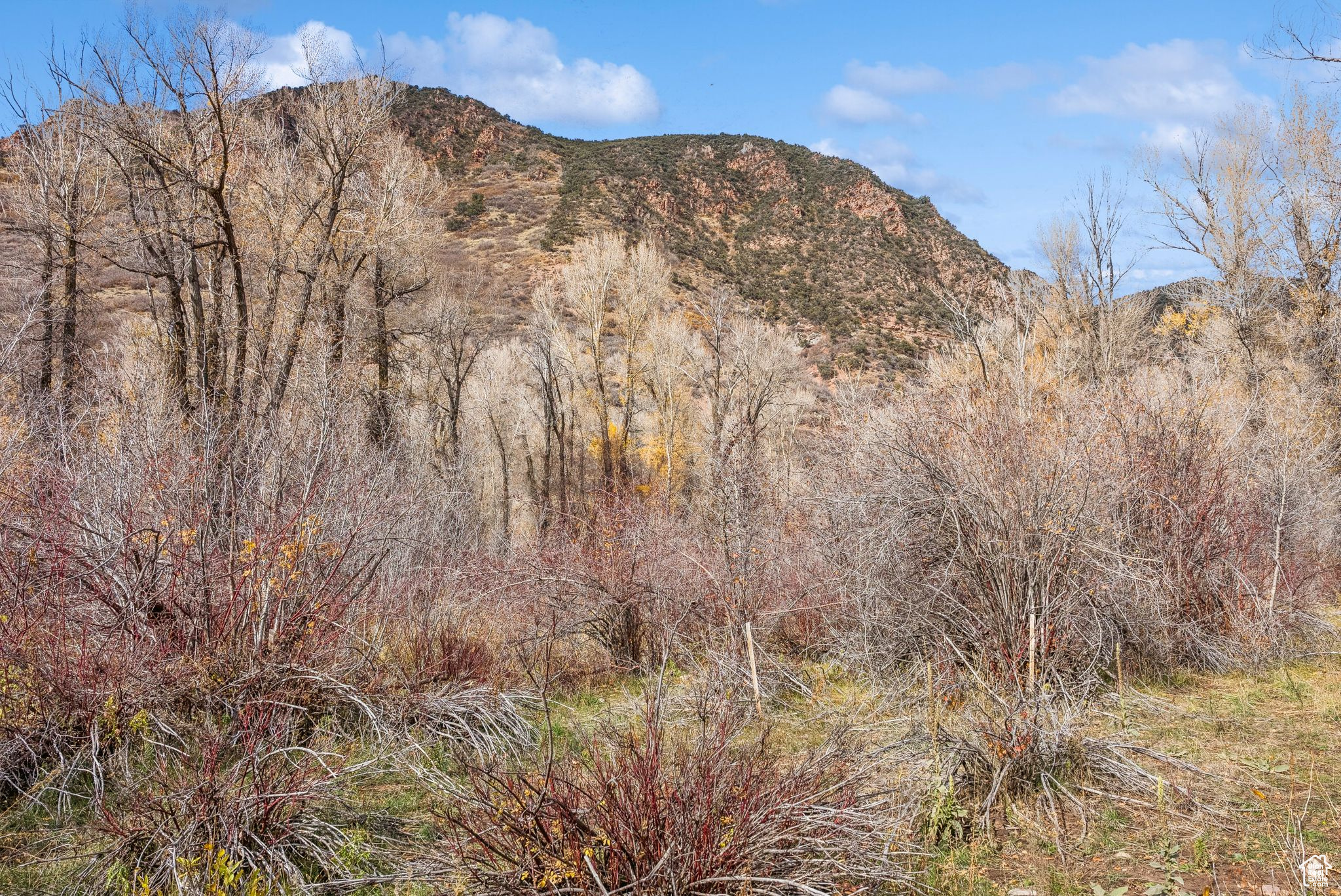 2638 E WEBER CANYON RD