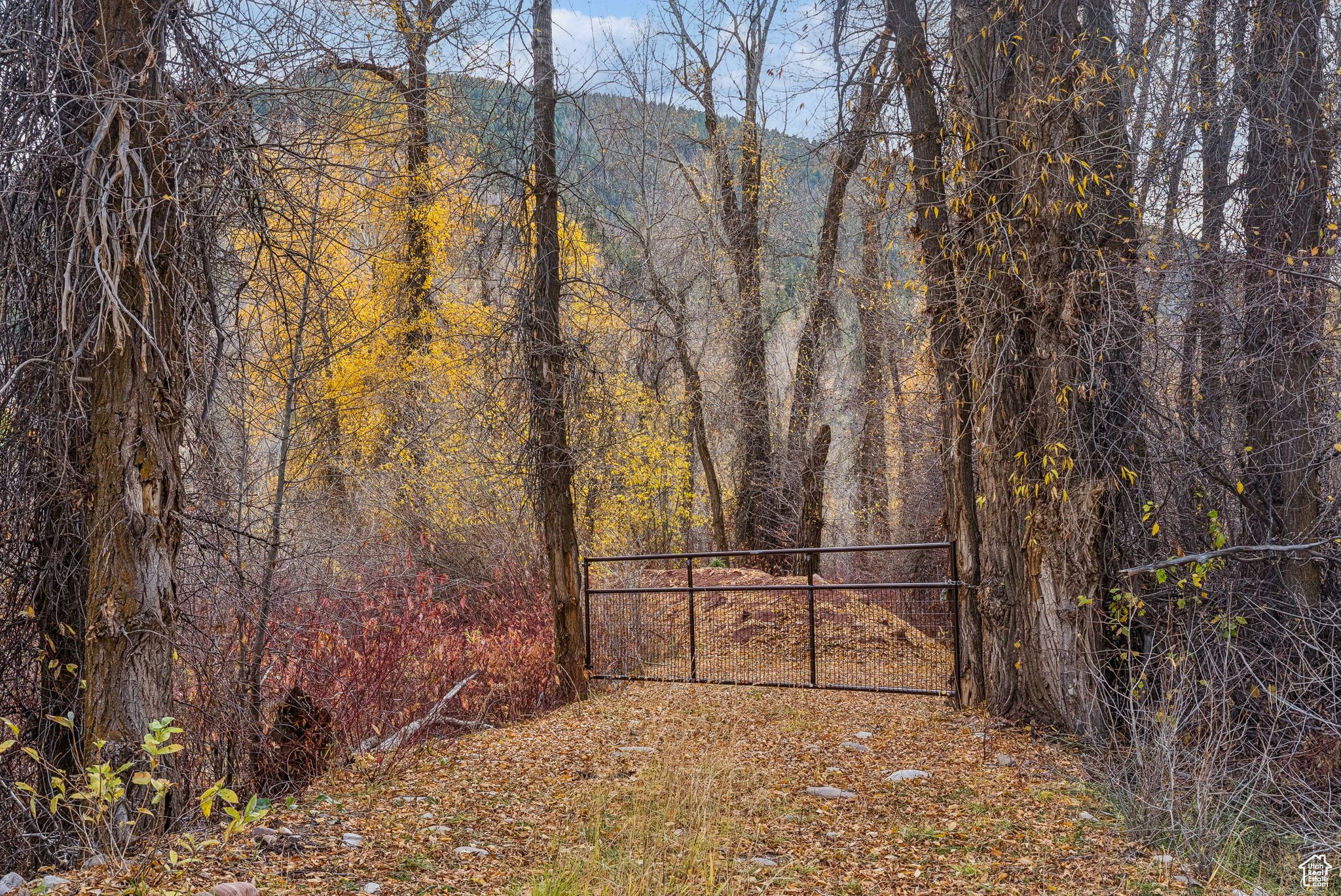 2638 E WEBER CANYON RD