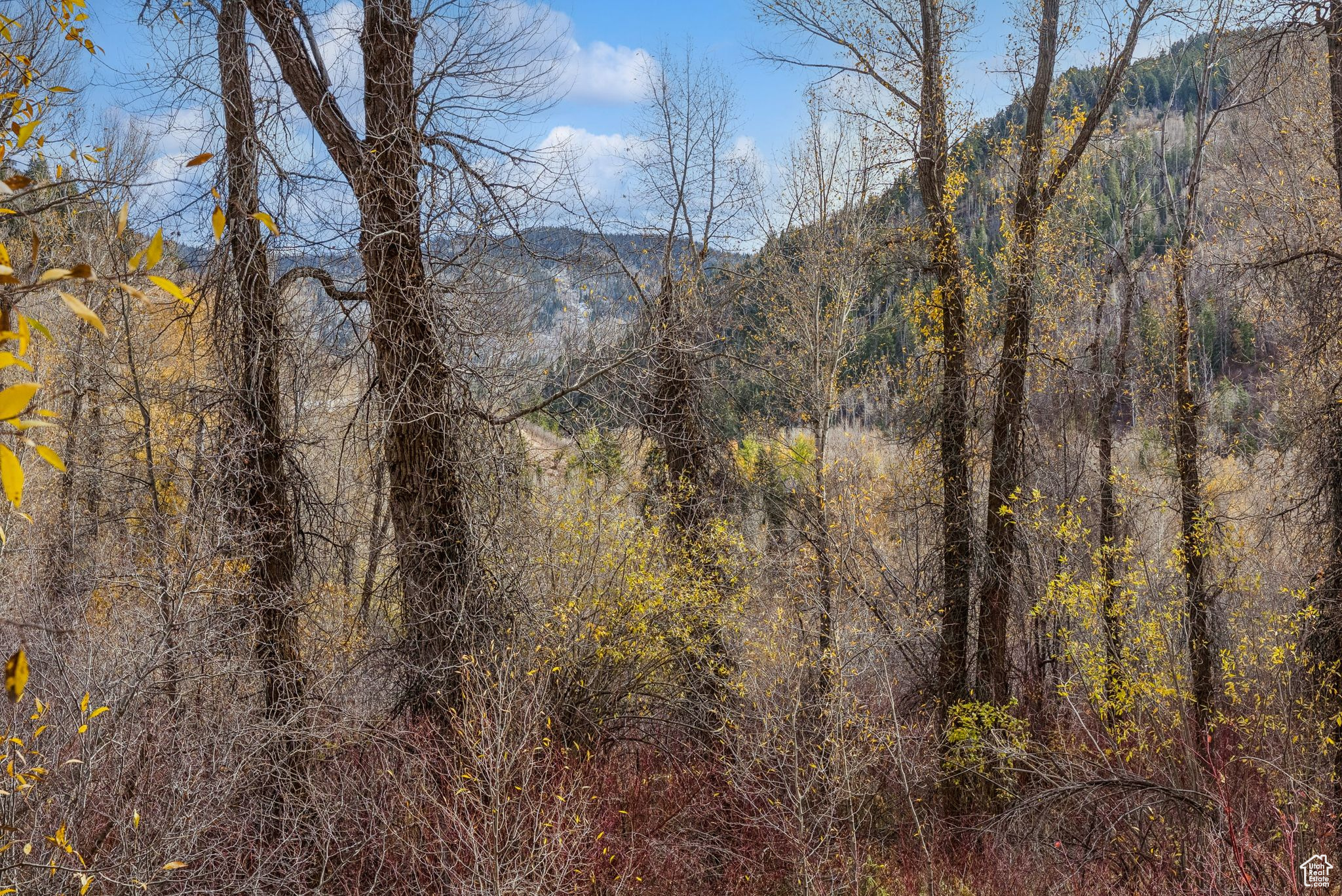 2638 E WEBER CANYON RD