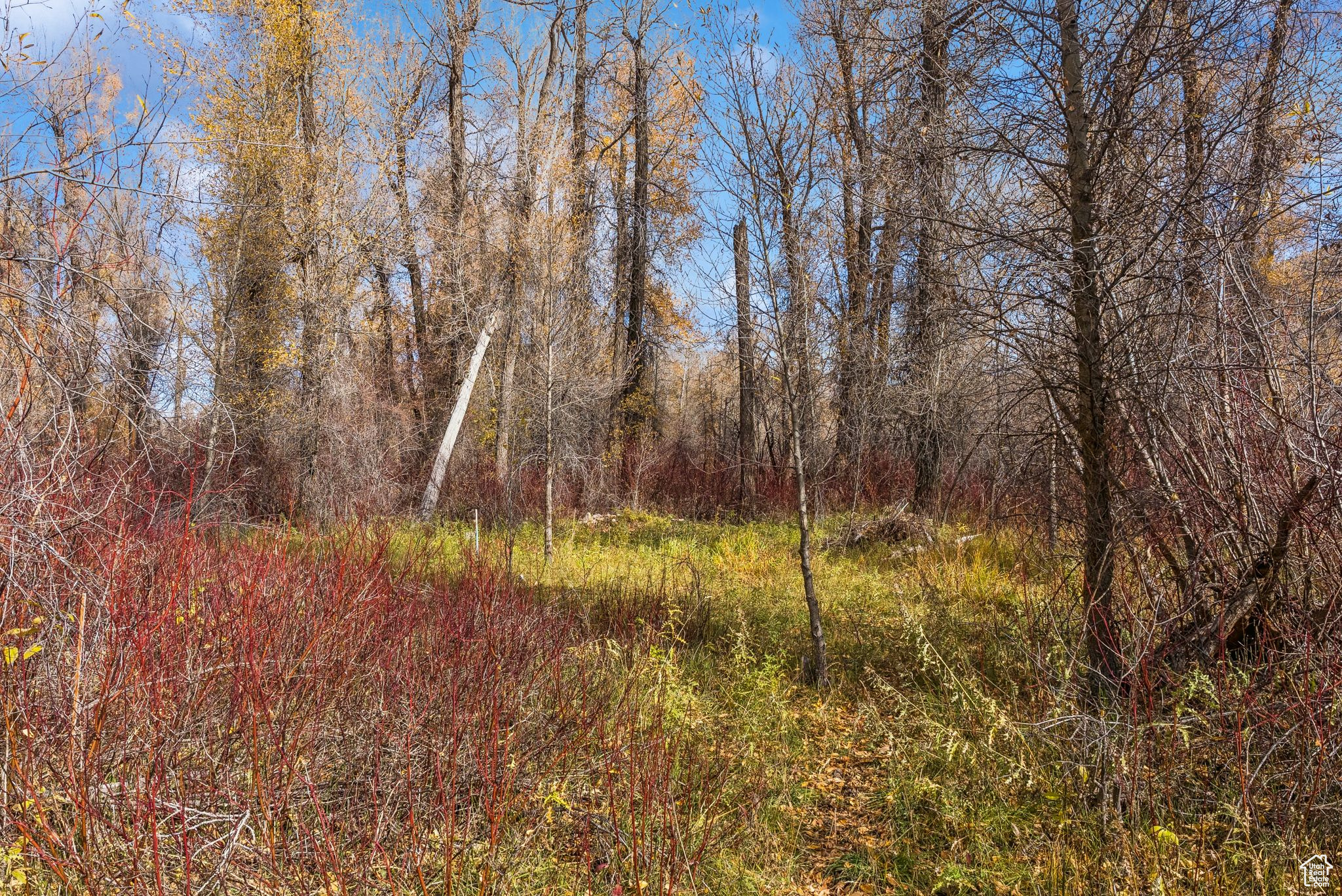 2638 E WEBER CANYON RD