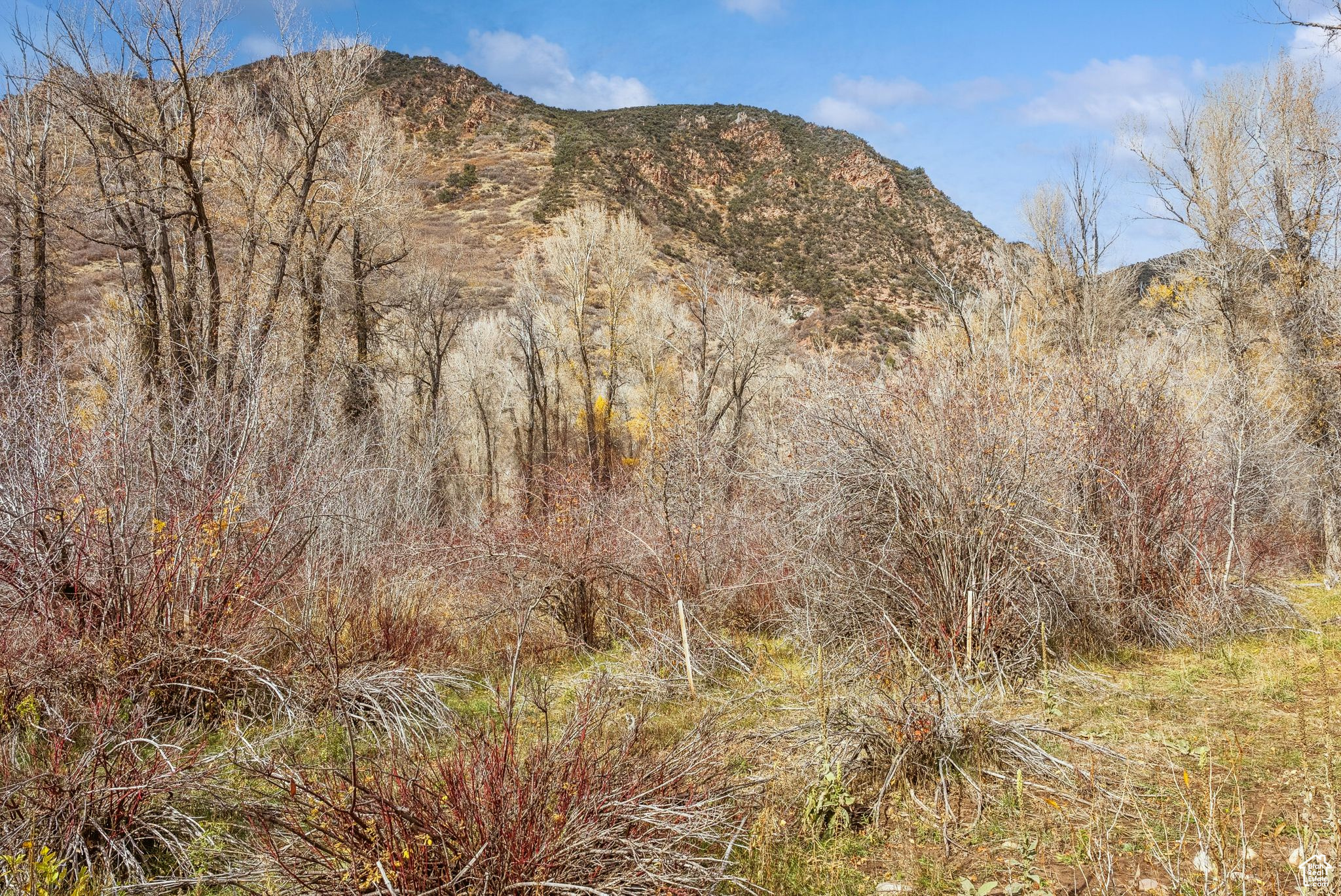 2638 E WEBER CANYON RD