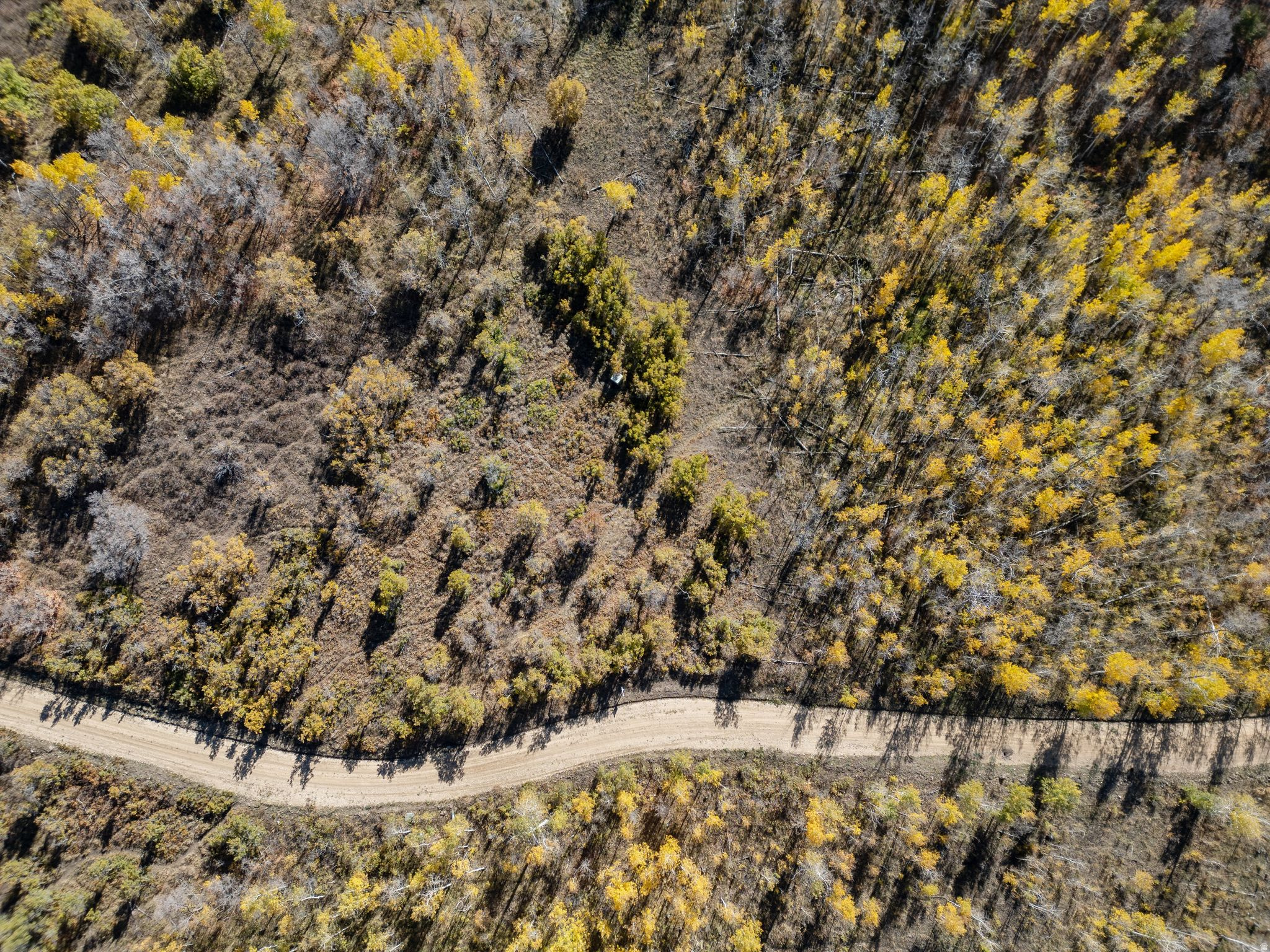 276 W BEAR TOOTH RDG Unit: 25