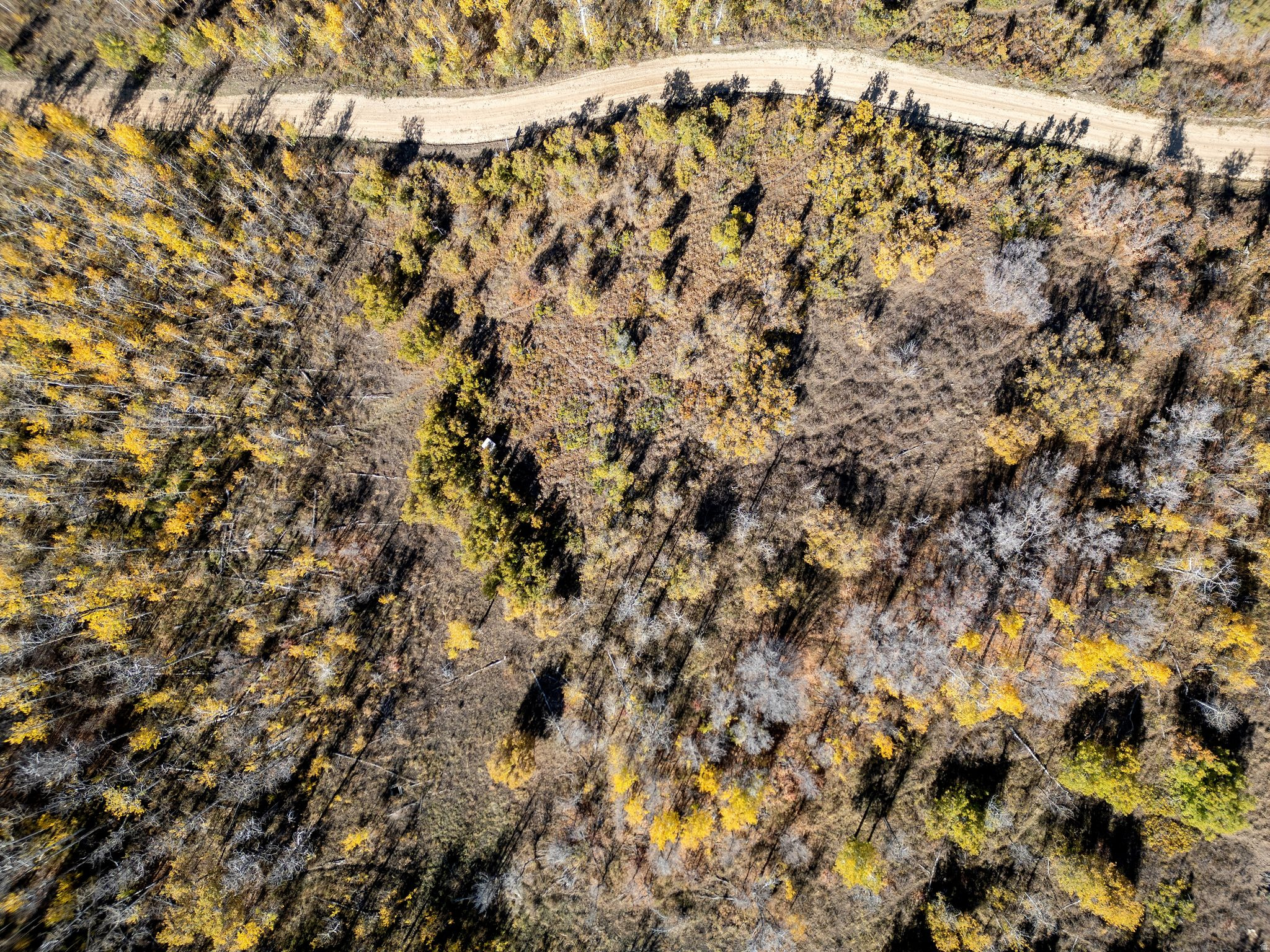 276 W BEAR TOOTH RDG Unit: 25