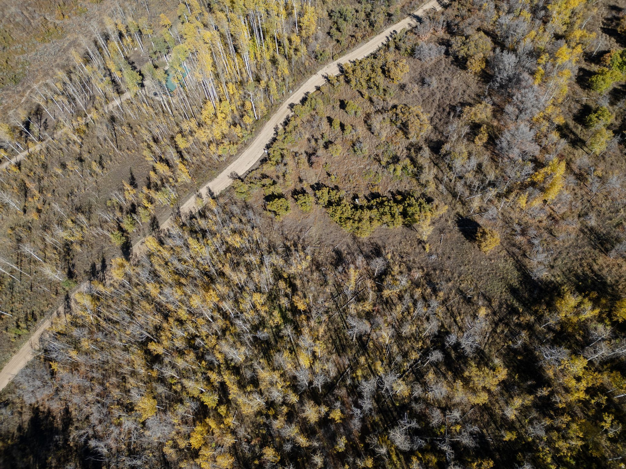 276 W BEAR TOOTH RDG Unit: 25