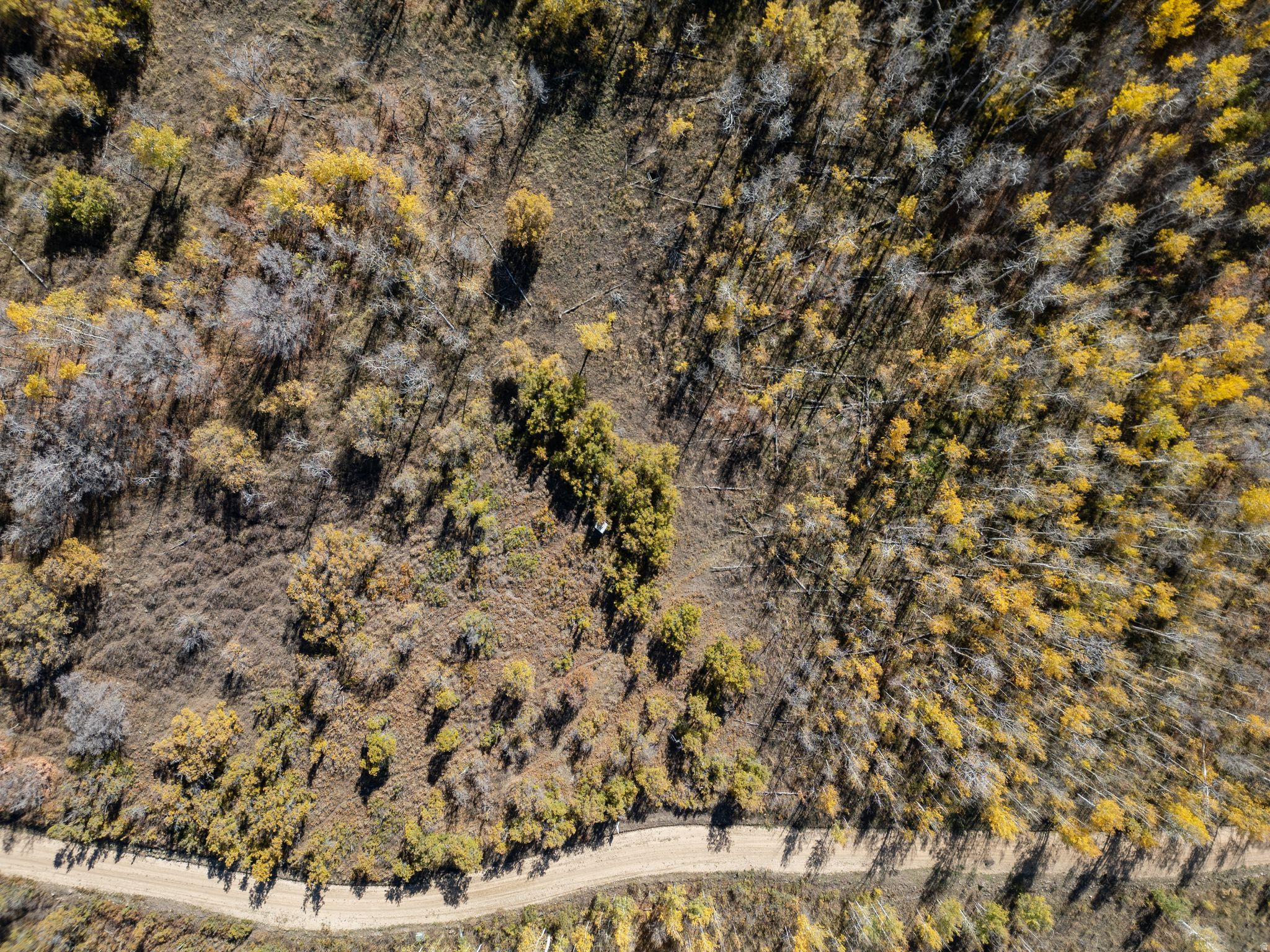 276 W BEAR TOOTH RDG Unit: 25