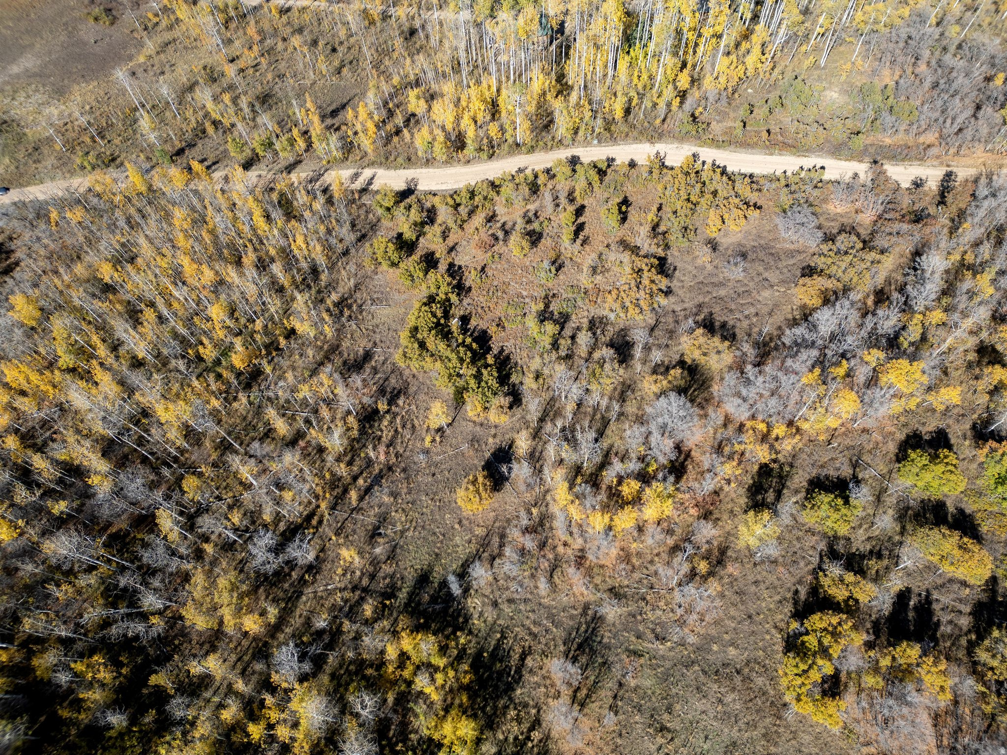 276 W BEAR TOOTH RDG Unit: 25