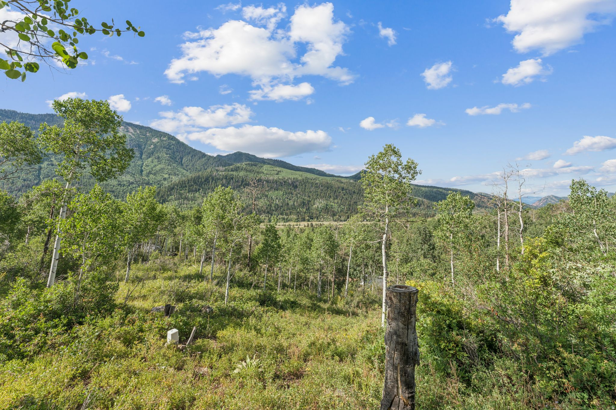 127 COMANCHE PASS #127