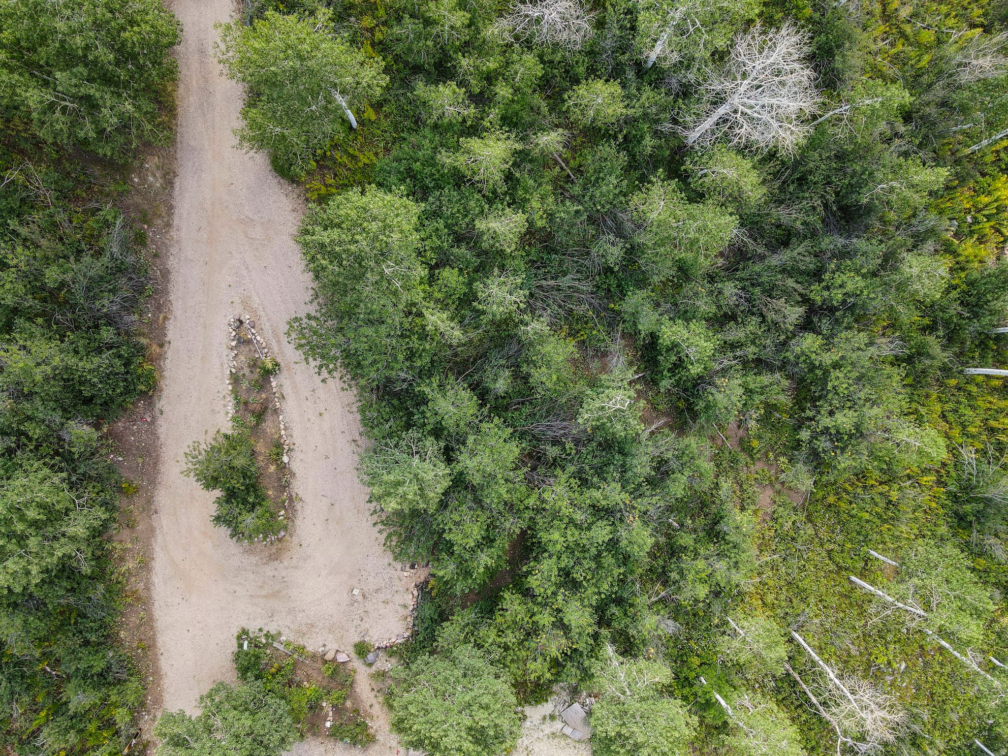 126 COMANCHE Unit: 126