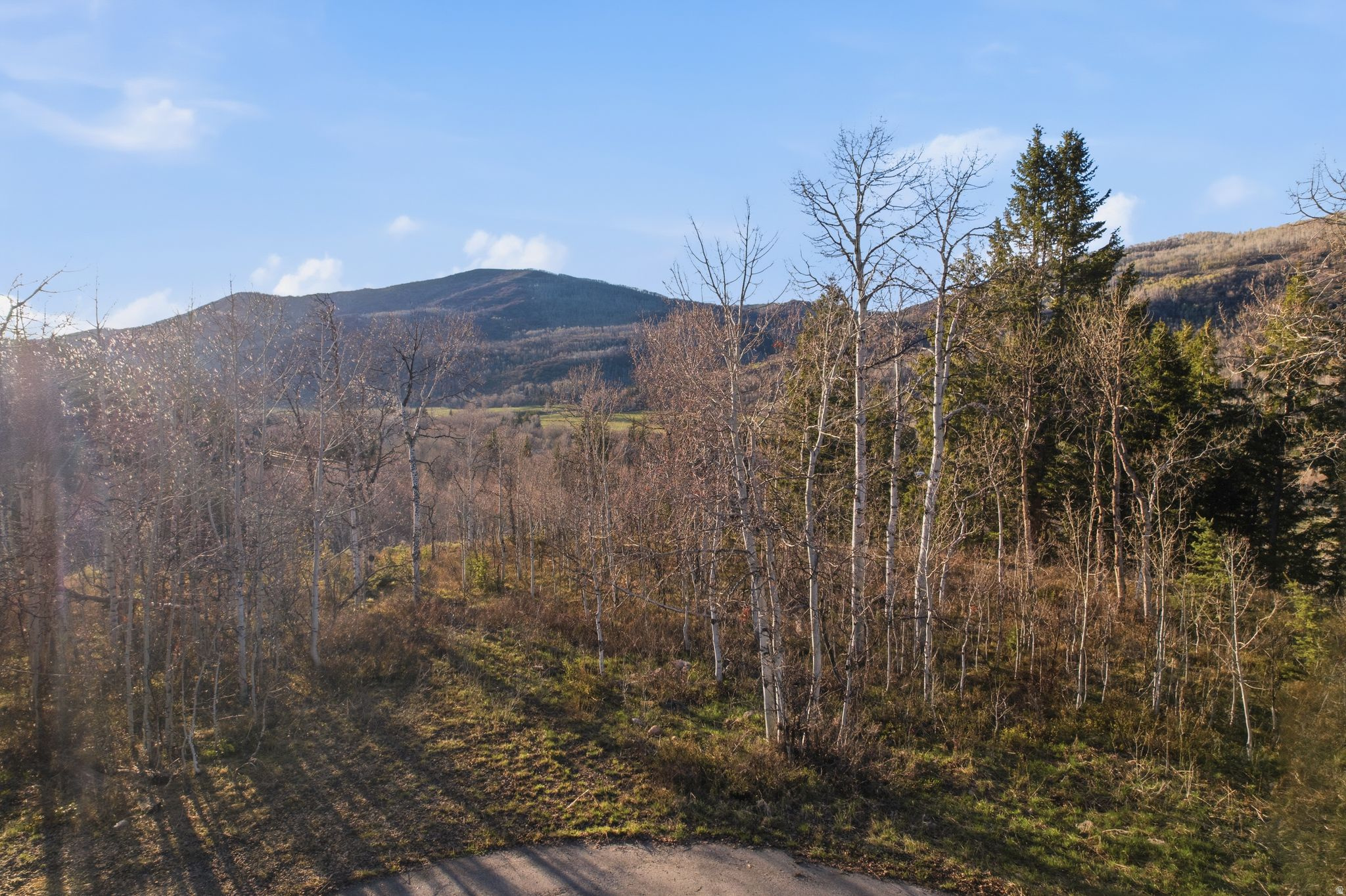 19 E UNCOMPAHGRE DR Unit: 19