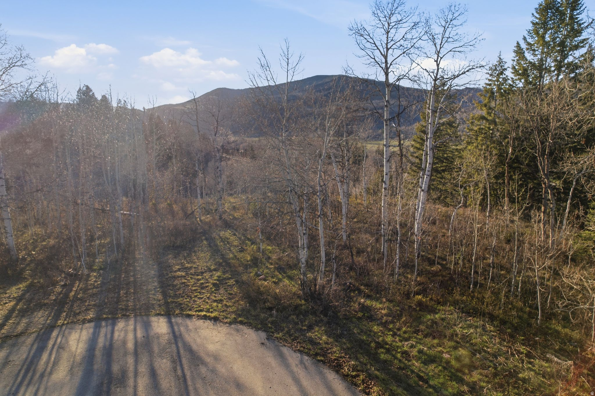 19 E UNCOMPAHGRE DR Unit: 19