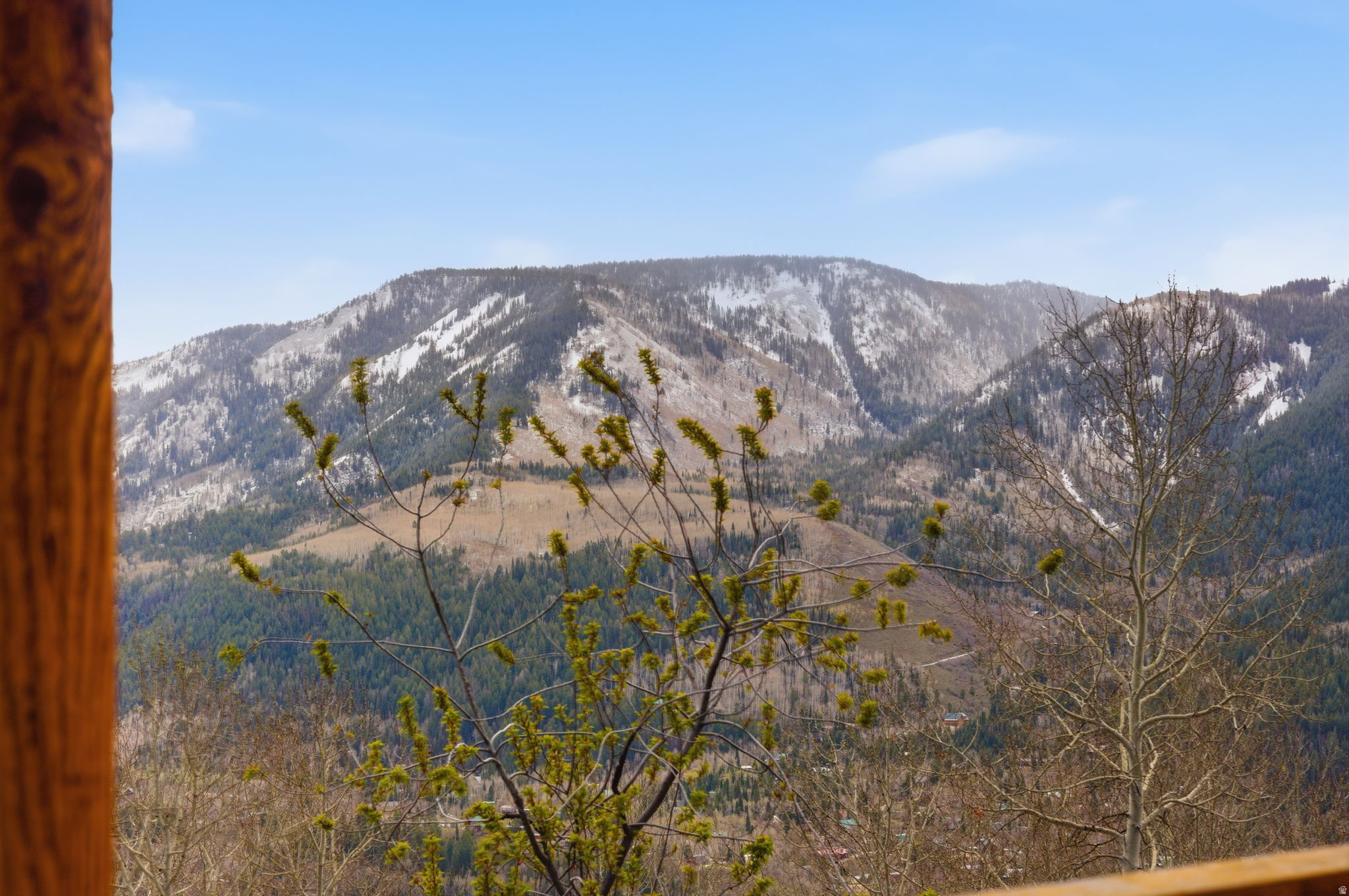 163 MOUNT AERIE UPPER LOOP