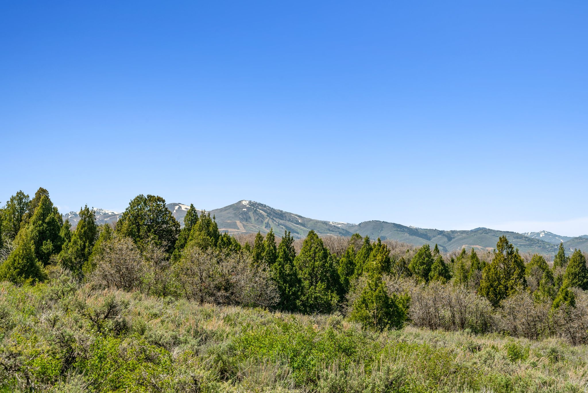 Heber City
