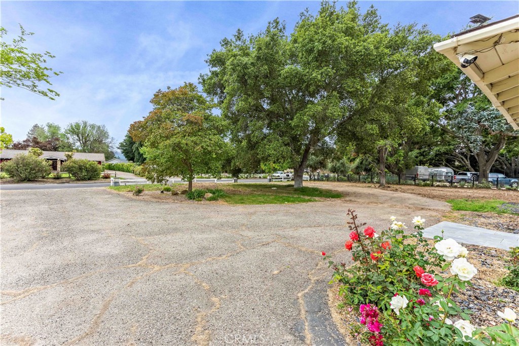 2915 Deer Trail Place