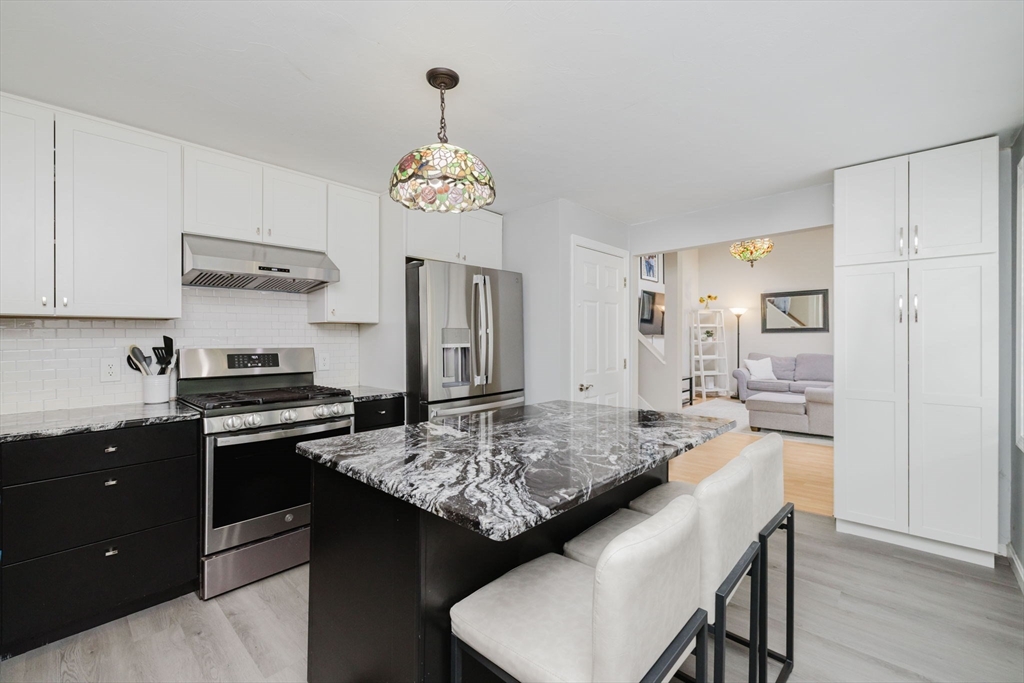 225 Princess Kate Cir