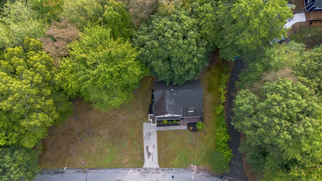 225 Princess Kate Cir