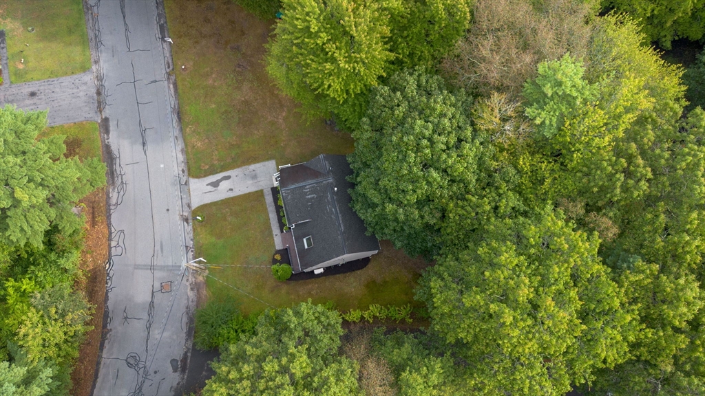 225 Princess Kate Cir