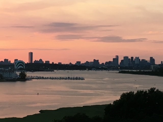 90 Quincy Shore Dr Unit: 701