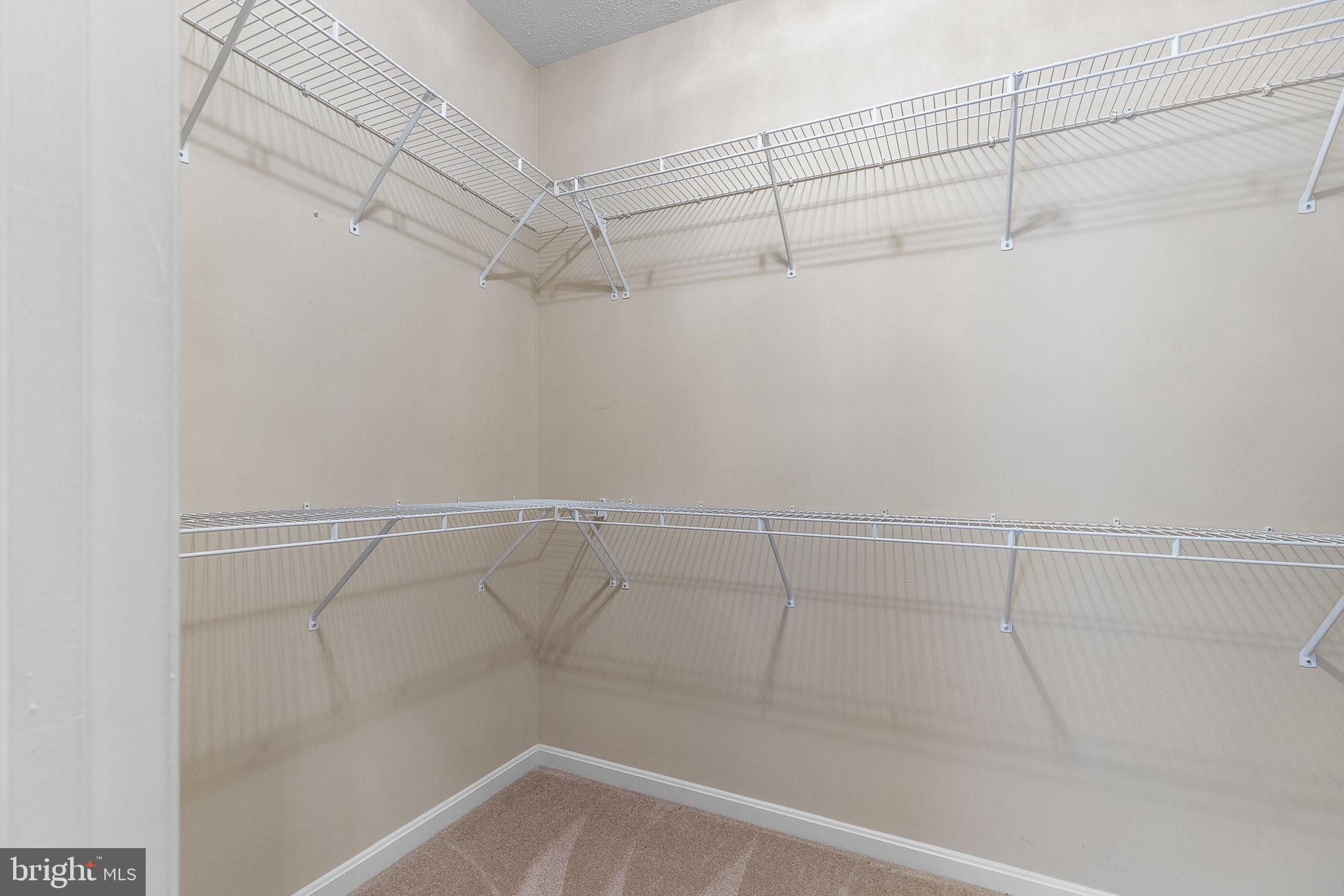 1107 GREAT OAKS LANE