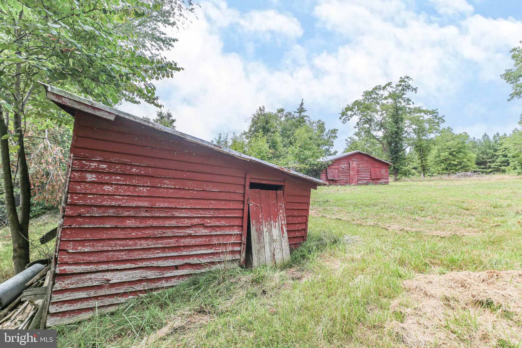 14534 Springfield Lane