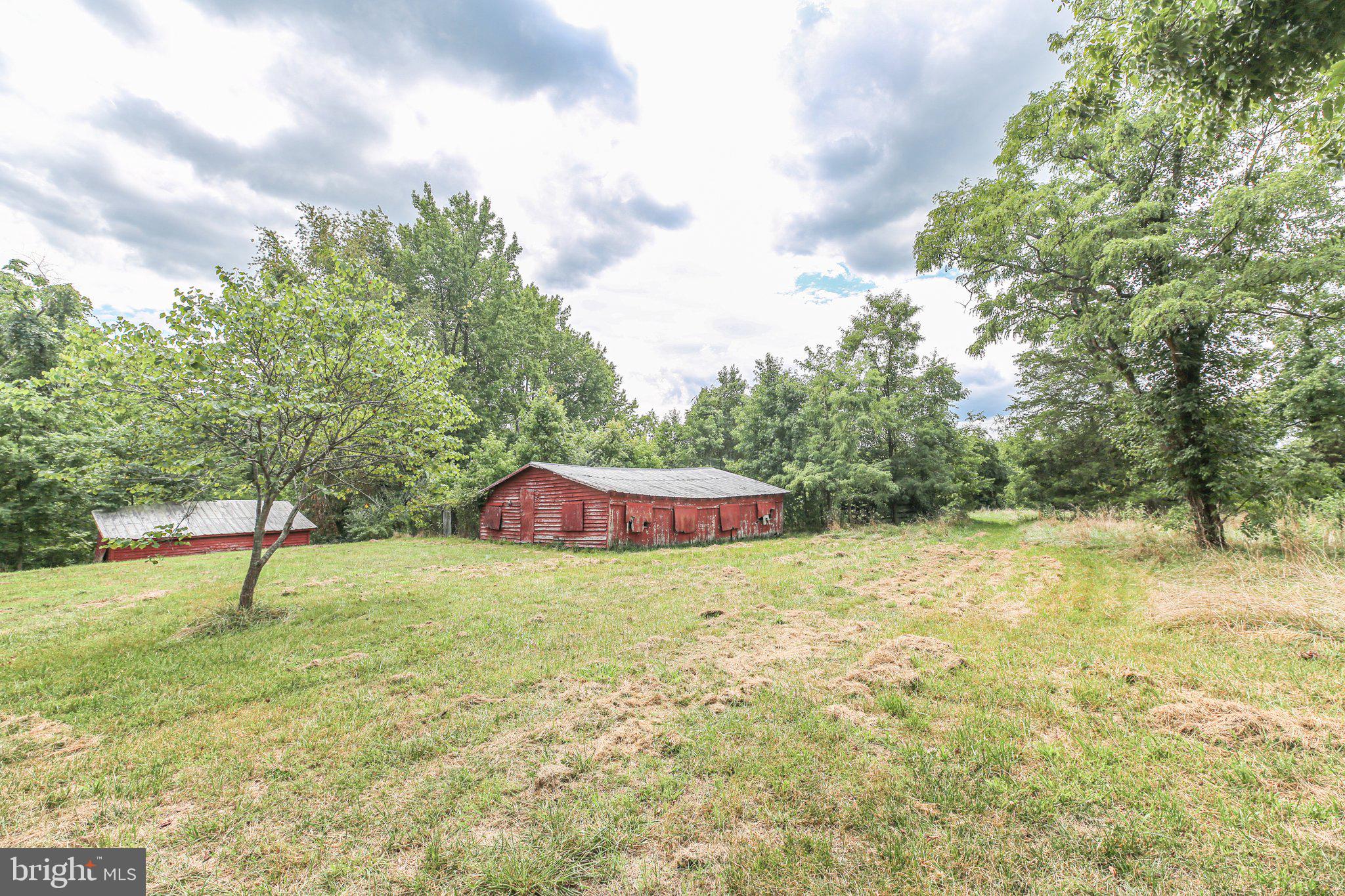 14534 Springfield Lane