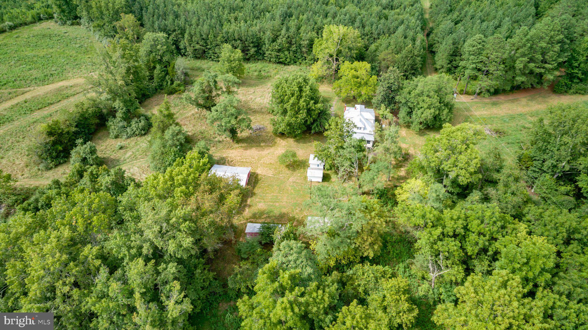 14534 Springfield Lane