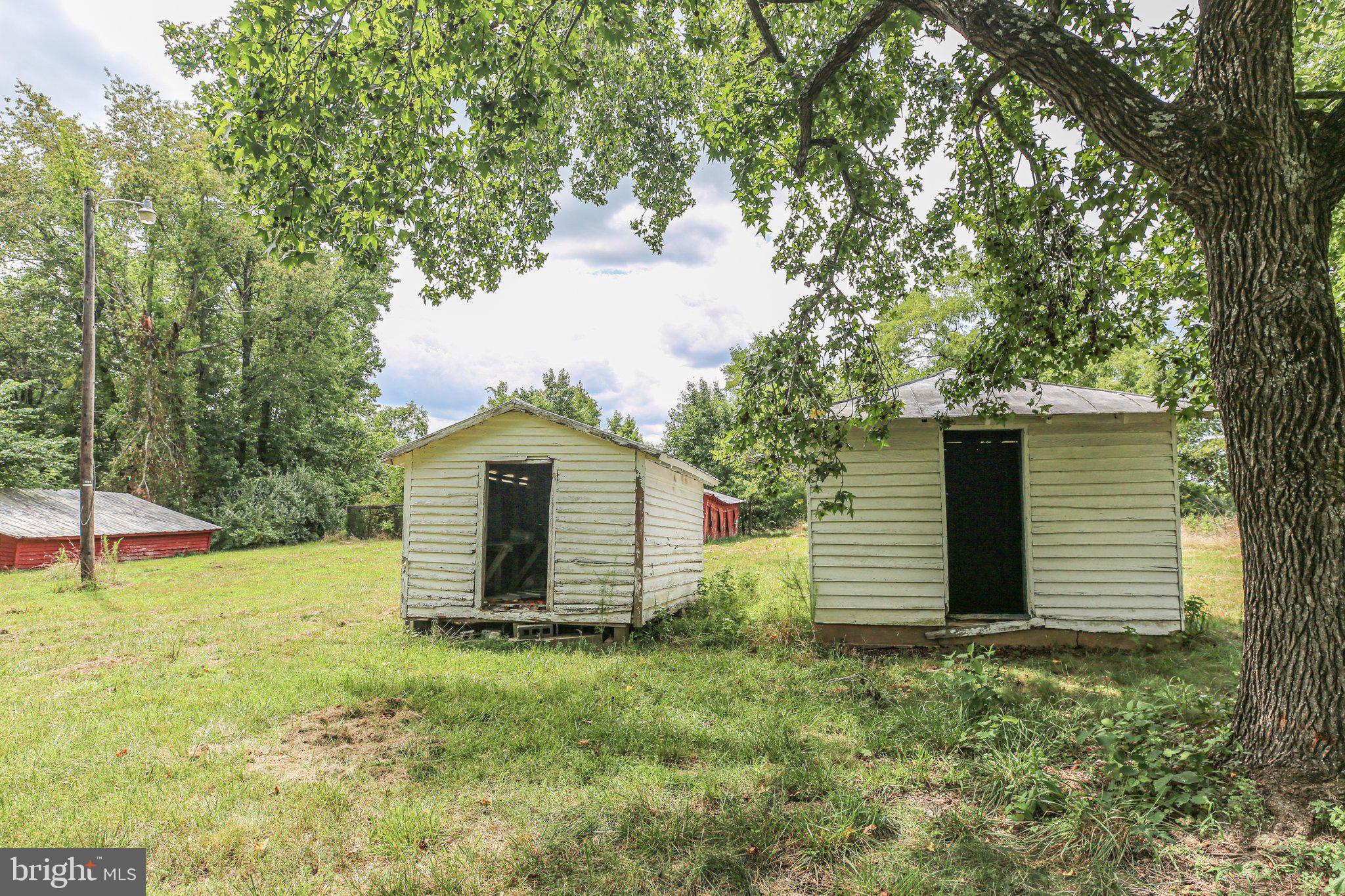 14534 Springfield Lane